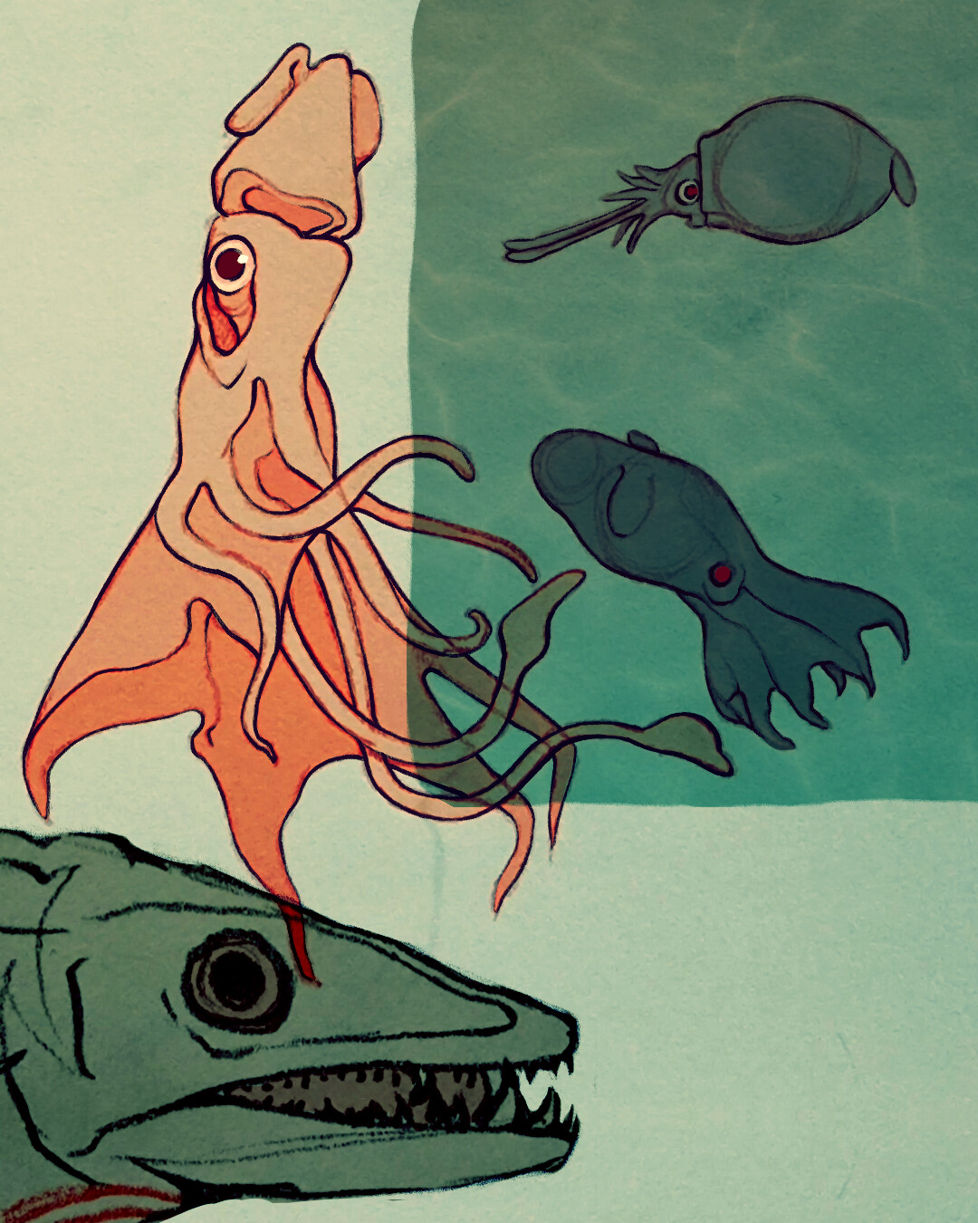 Drawn from reference at the Natural History Museum of London!