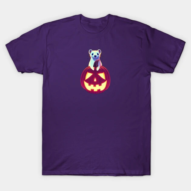 Pumpkin Ferret T-Shirt
https://www.teepublic.com/t-shirt/34926201-pumpkin-ferret?store_id=125261