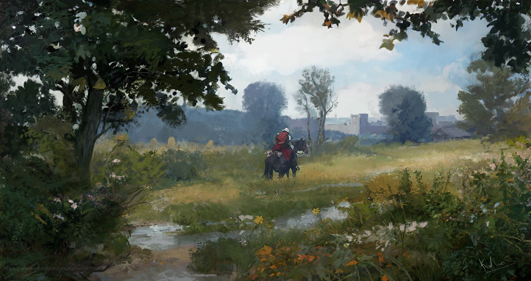 mateusz-michalski-rox-through-the-meadow