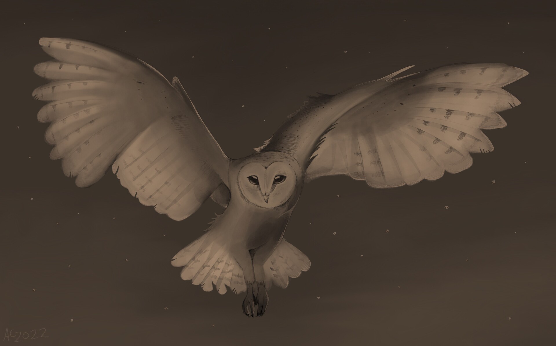 Owl reference on sale