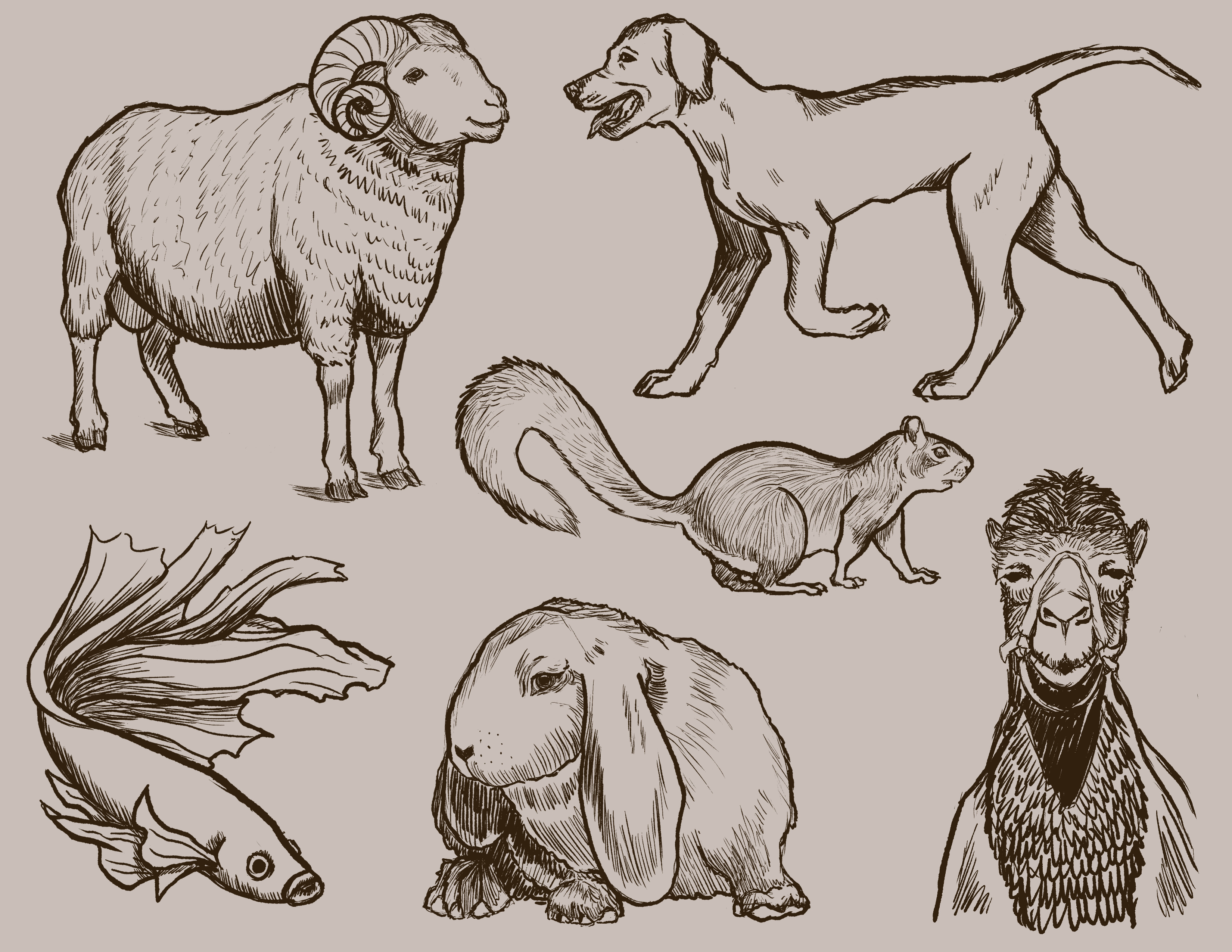 "Animal Study" - 2022
