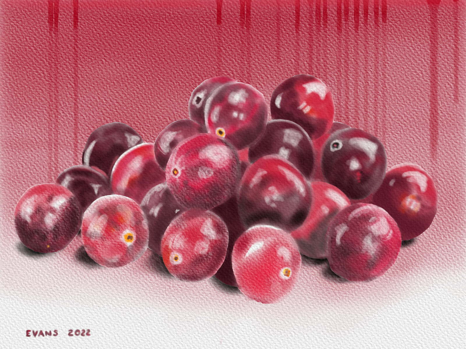 Cranberries 2022