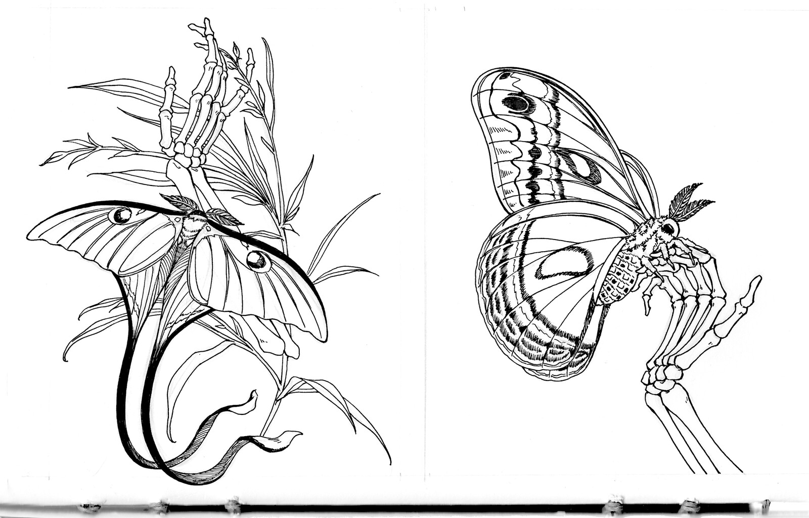 Inks on Bristol Board