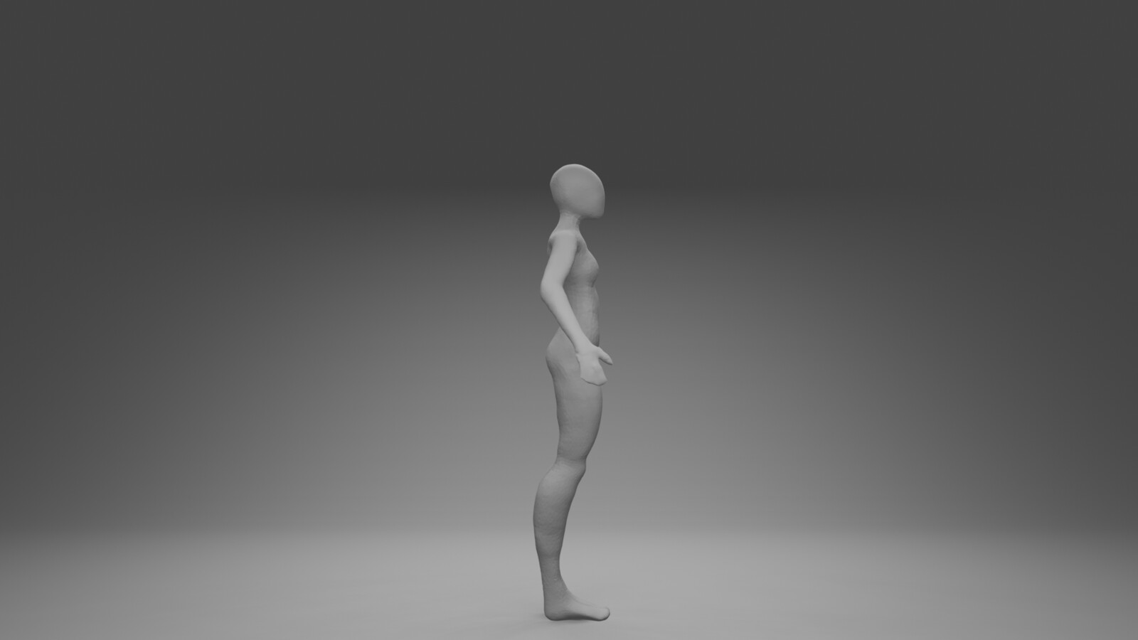 3D Model/sculpt