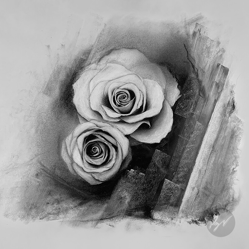 Flower Drawing with White Charcoal Pencil for Beginners