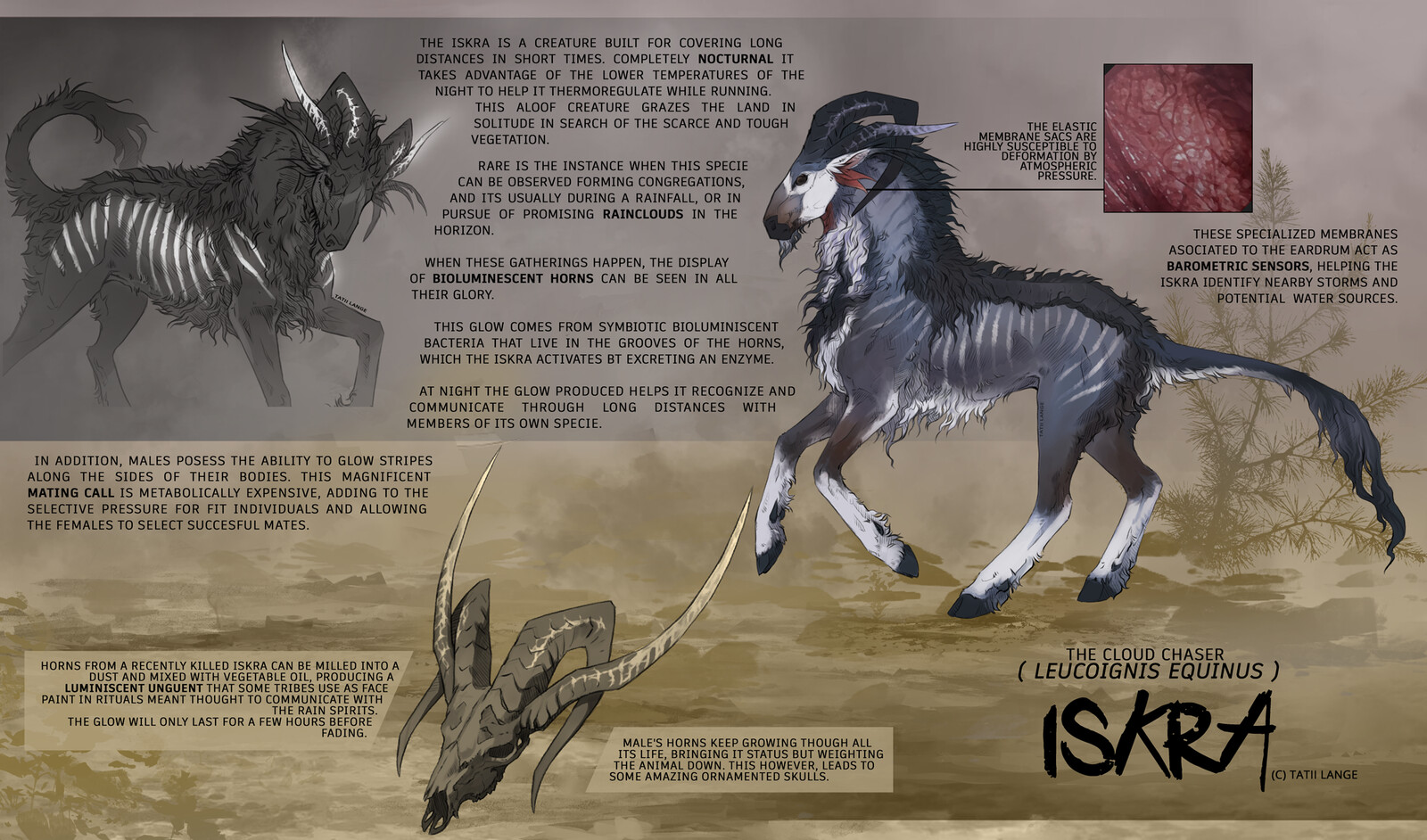 Bestiary creature 2 : Iskra