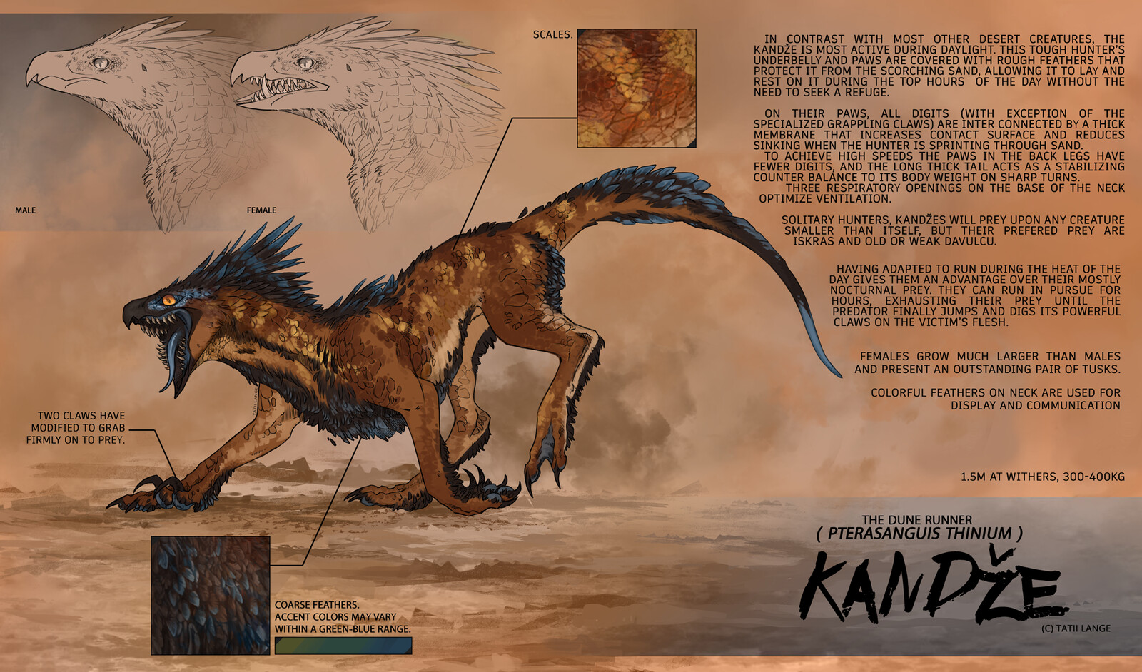 Bestiary creature 1 : Kandže