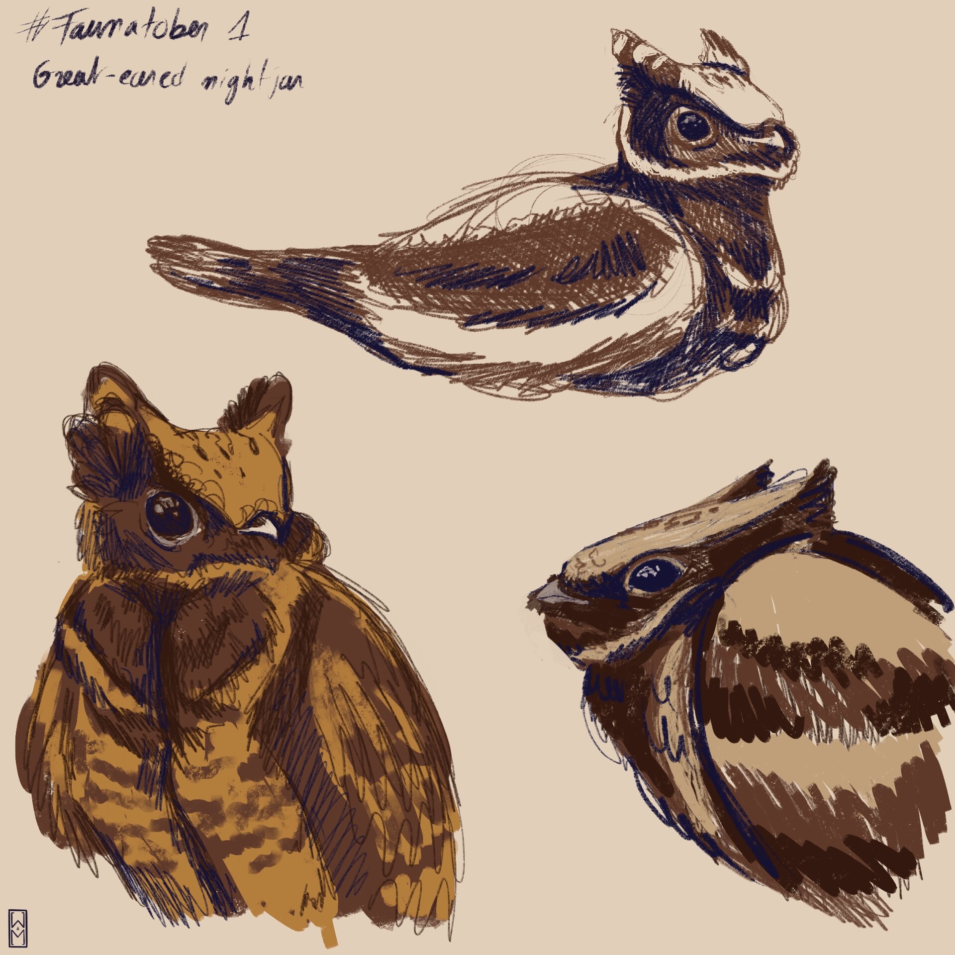 Artstation great eared nightjar