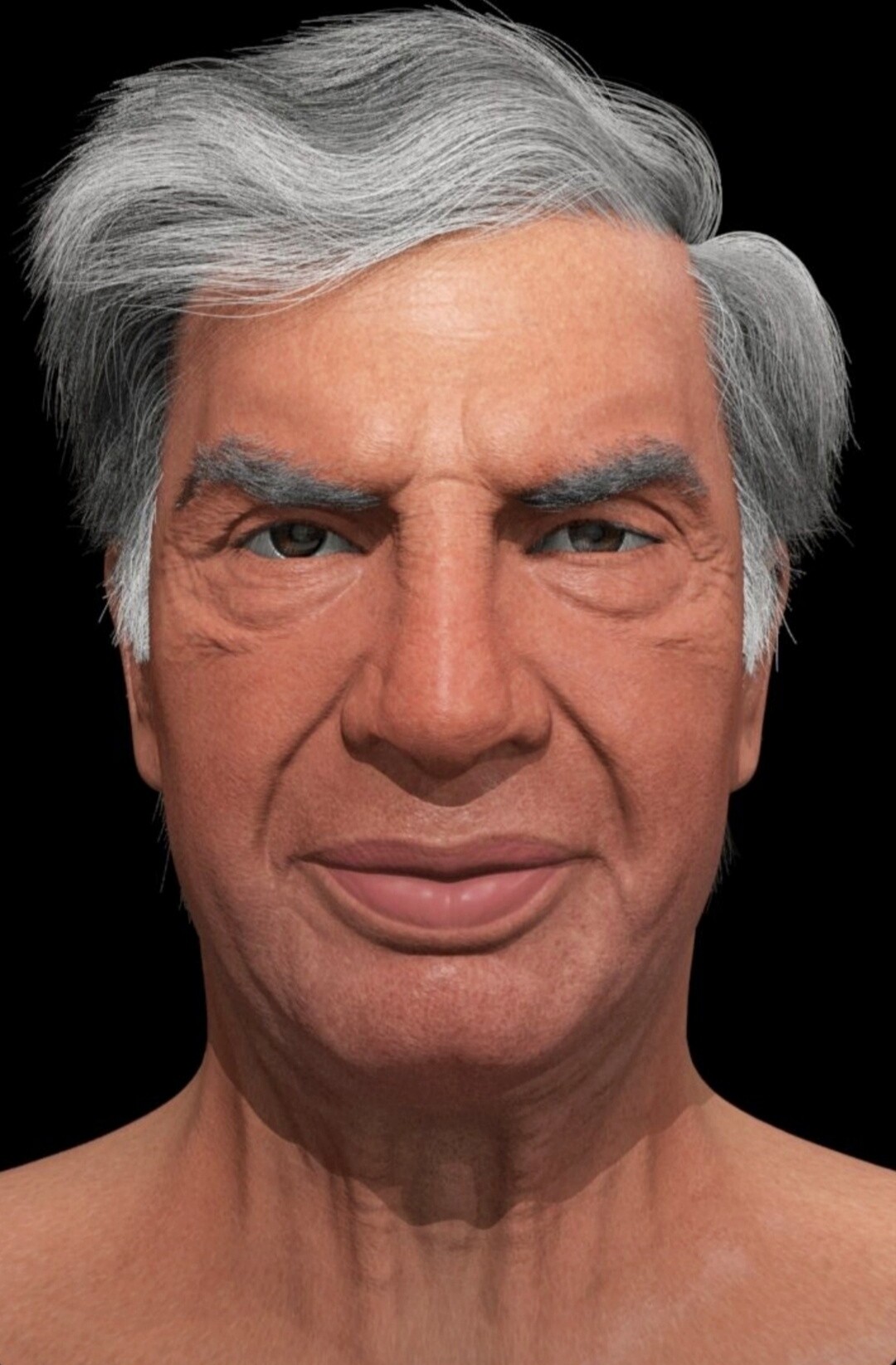 ATUL SHUKLA Sir Ratan Tata 3D Portrait ATUL SHUKLA Sir Ratan Tata 3D Portrait