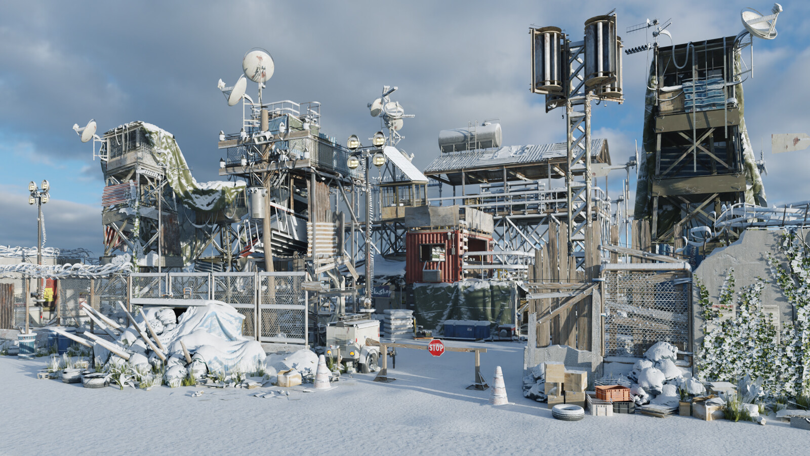 Snow Scene
