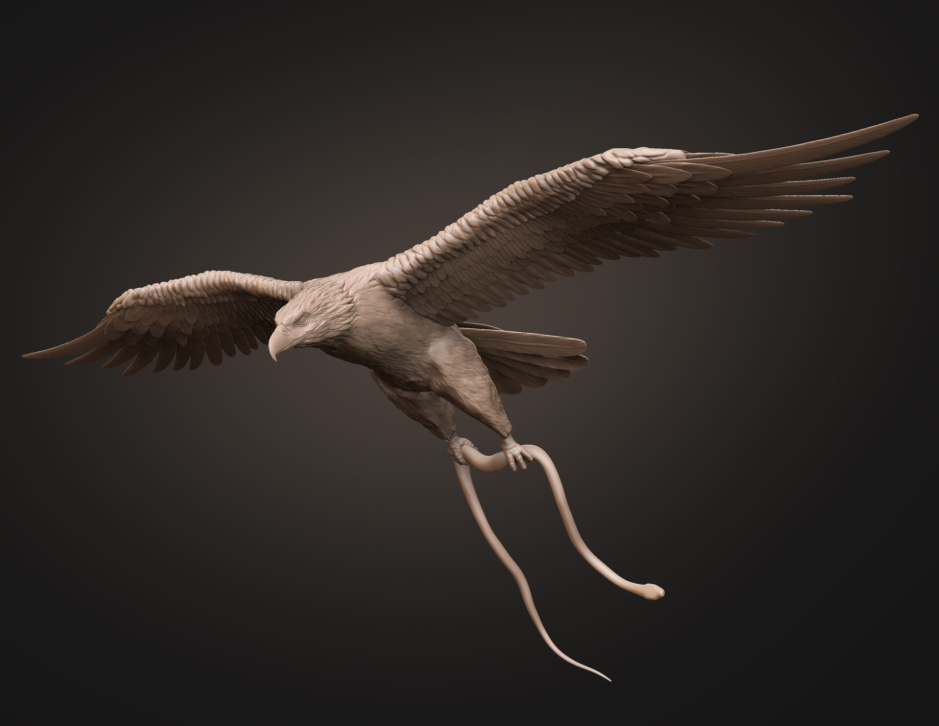 Eagle Catching Snake