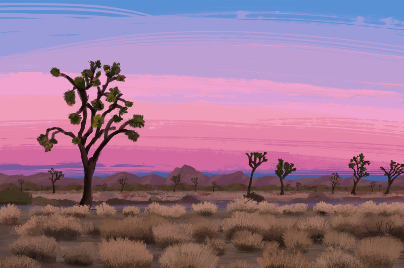 Joshua Tree National Park
