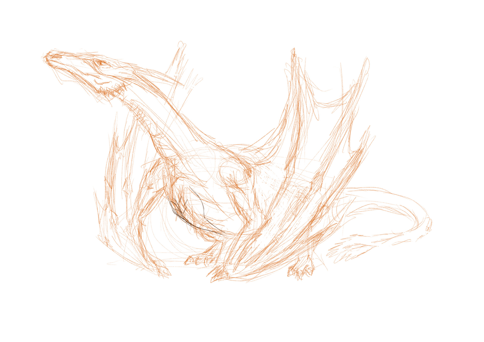 ArtStation - Charcoal drawing of Syrax dragon
