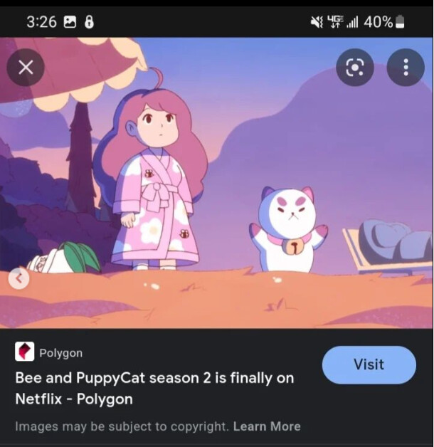 Screenshot reference photo.