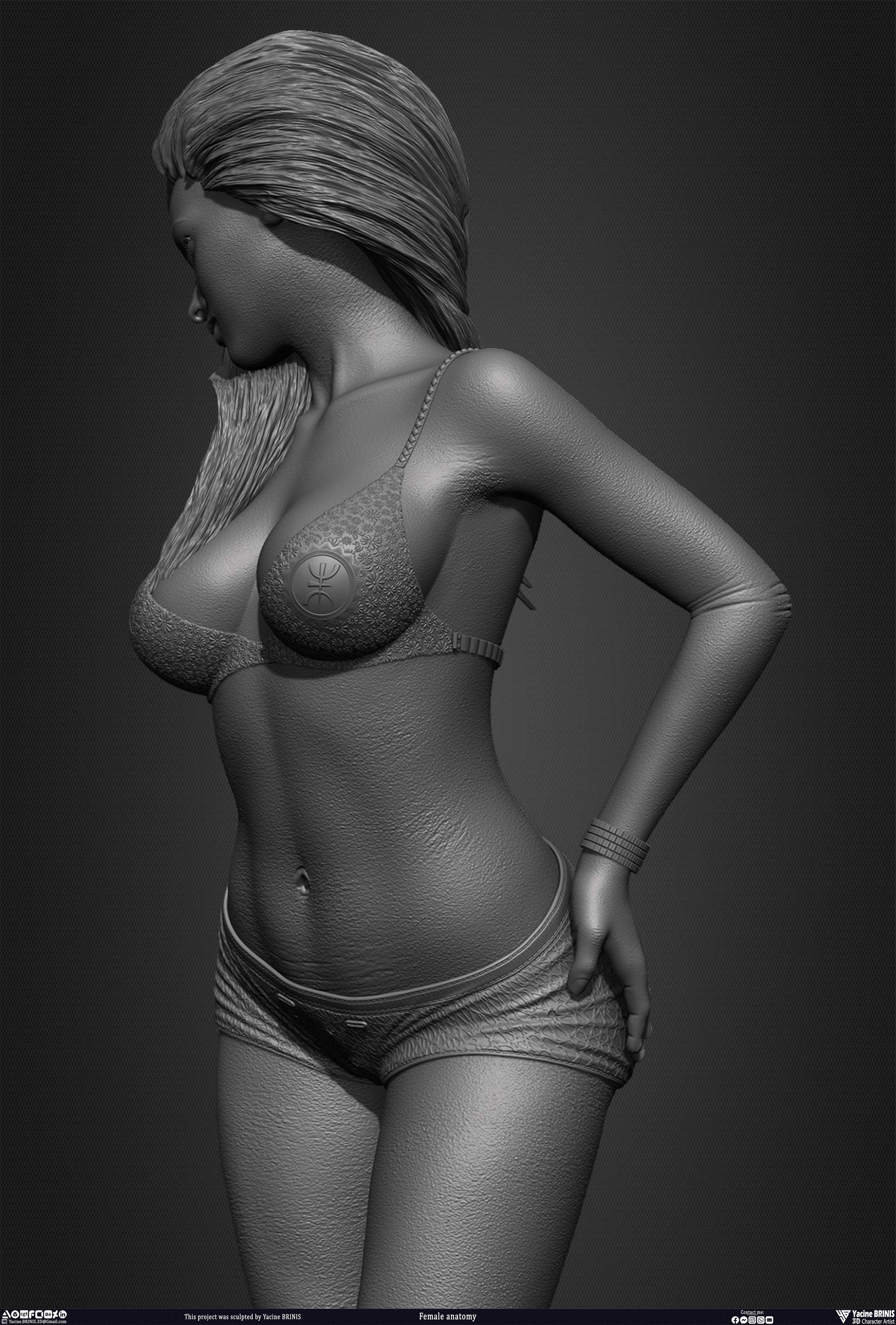 Female anatomy sculpted by Yacine BRINIS 015