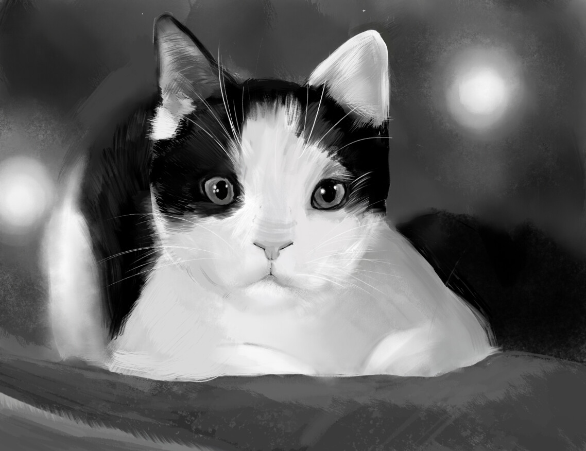 ArtStation Lily Cat portrait