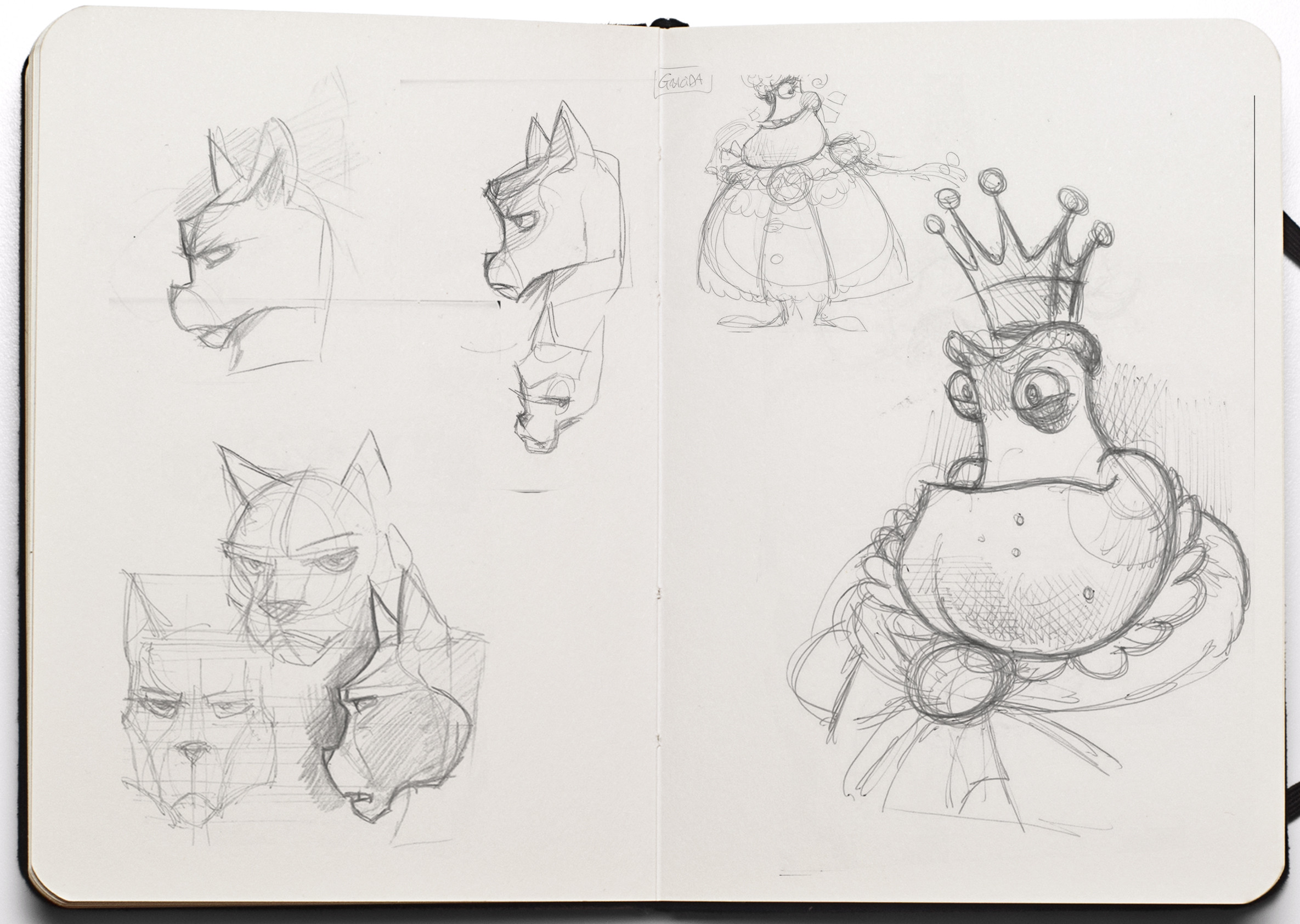 sketchbook 2 KING FROG