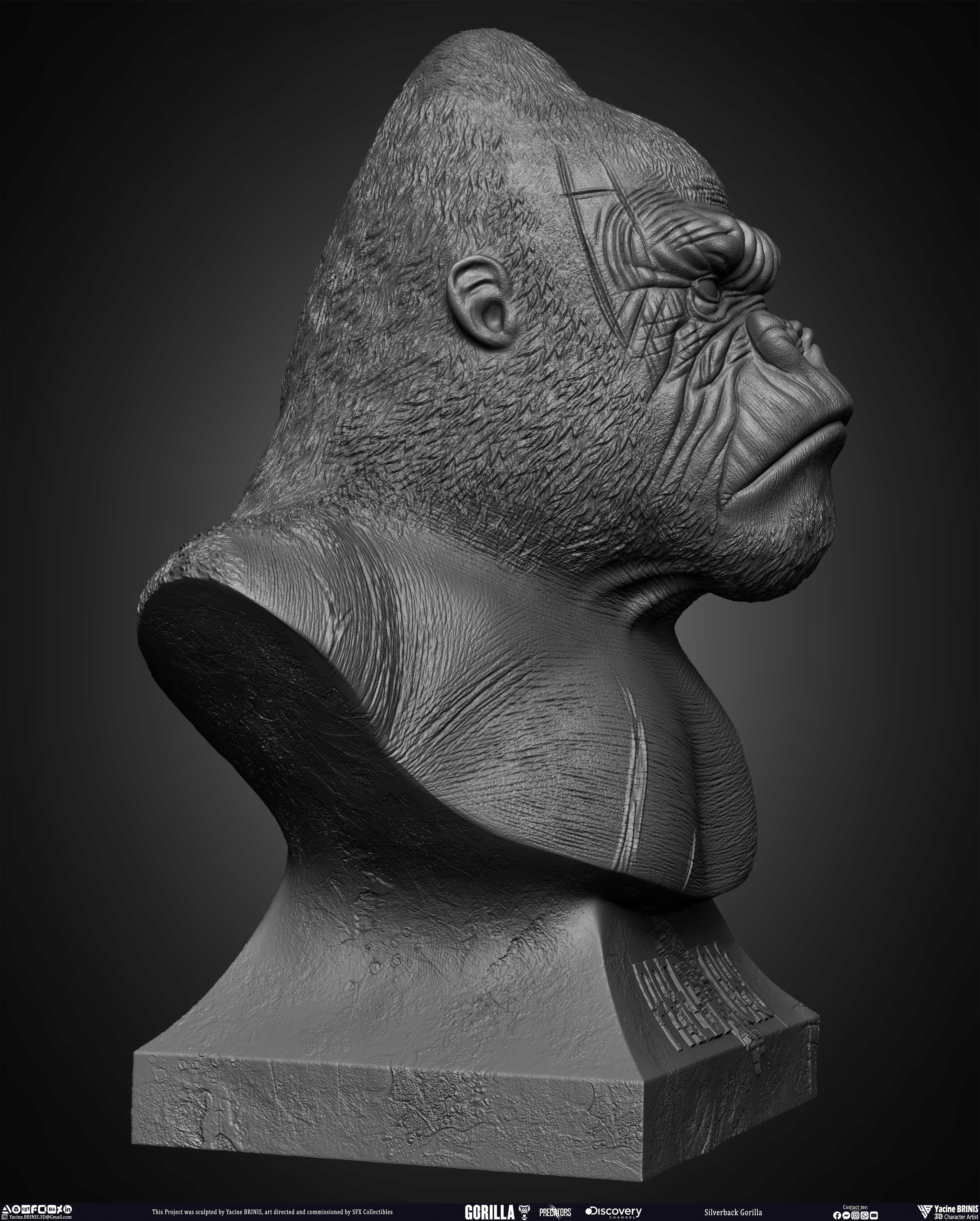 Silverback Gorilla Predator sculpted by Yacine BRINIS 009