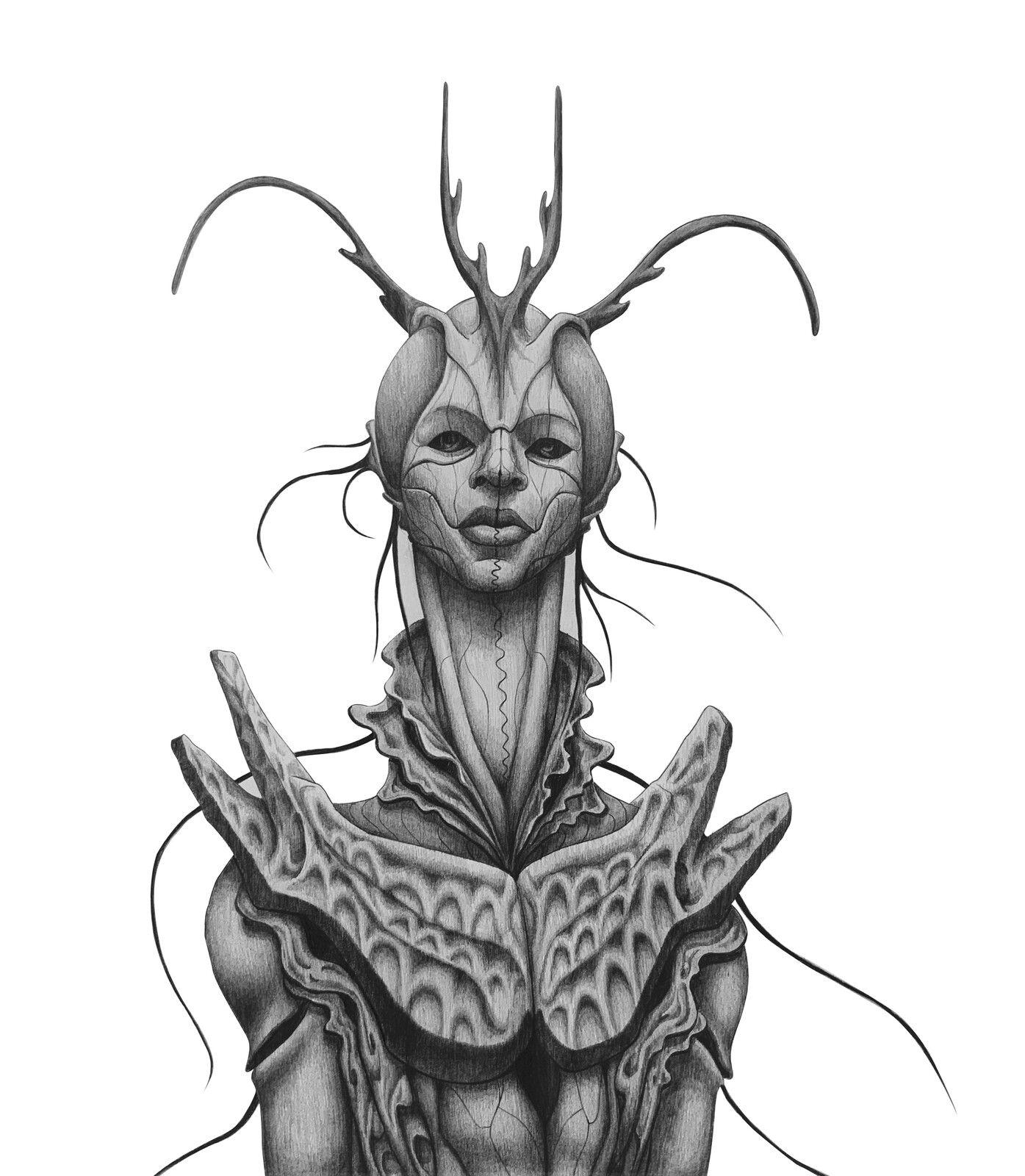 MIMIC ; graphite drawing