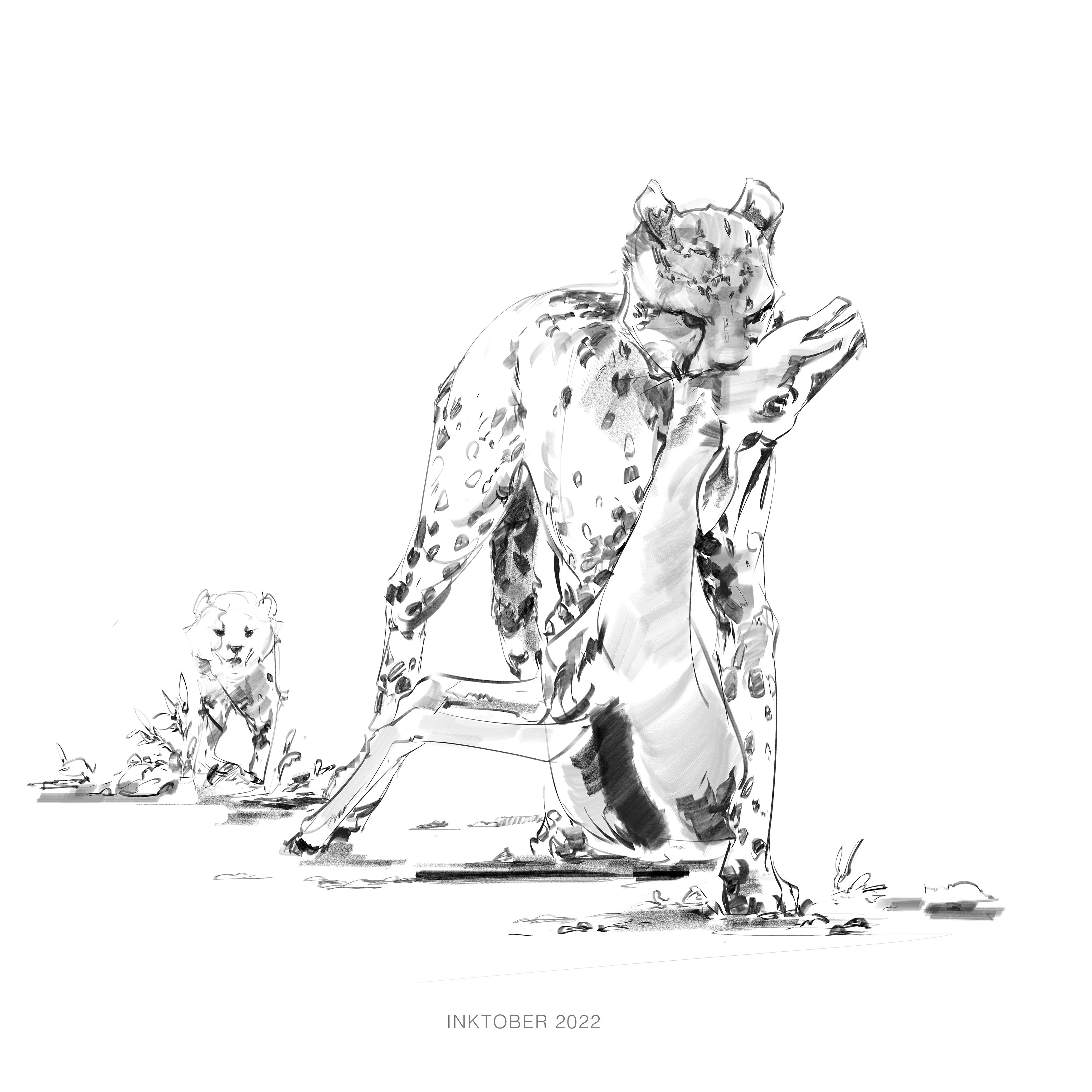hunting cat