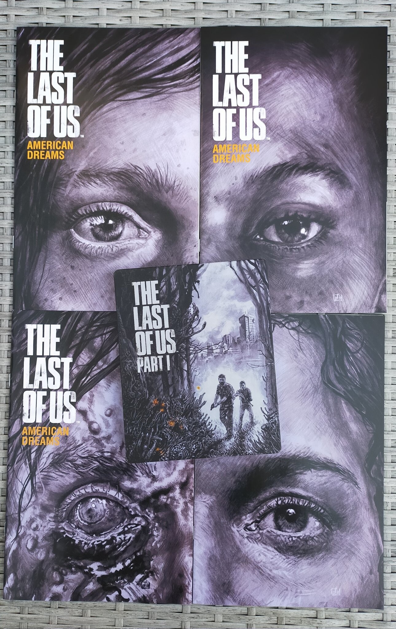 The Art of the Last of Us