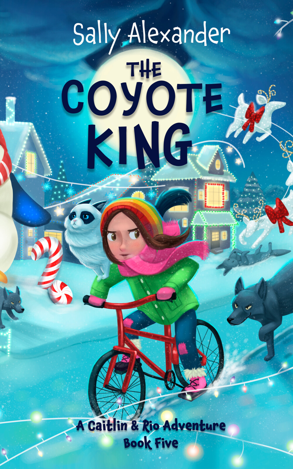 Book 5 - The Coyote King - Front Cover illustration