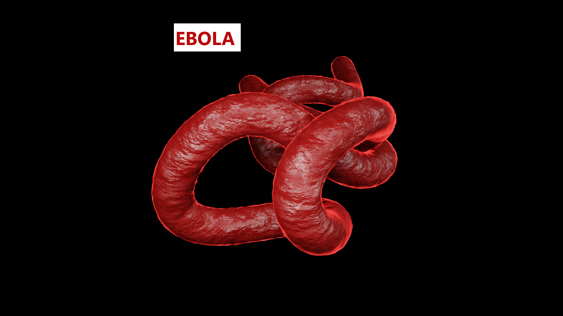 ArtStation - Ebola Virus 3D Model