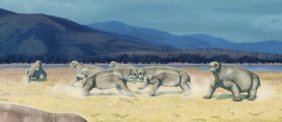 Tapinocephalus 