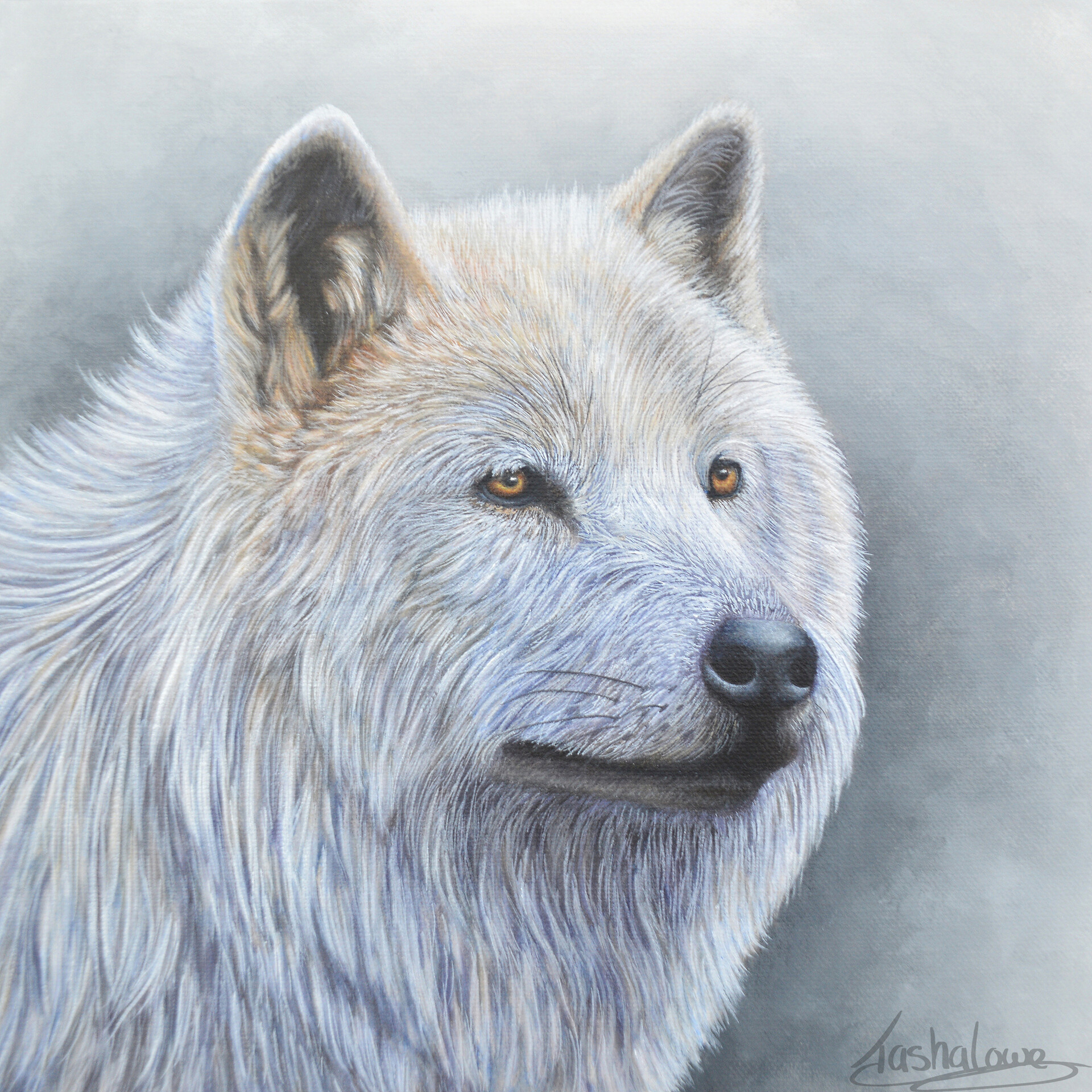 ArtStation - Arctic Wolf Portrait Painting