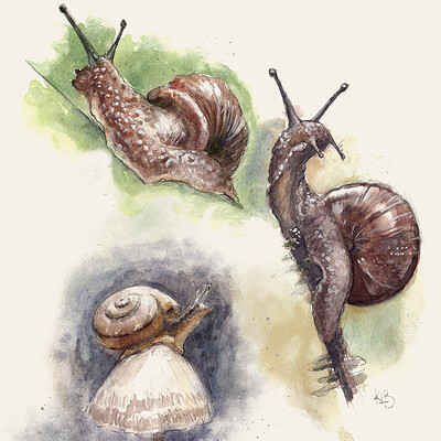 Kacey lynn brown snails