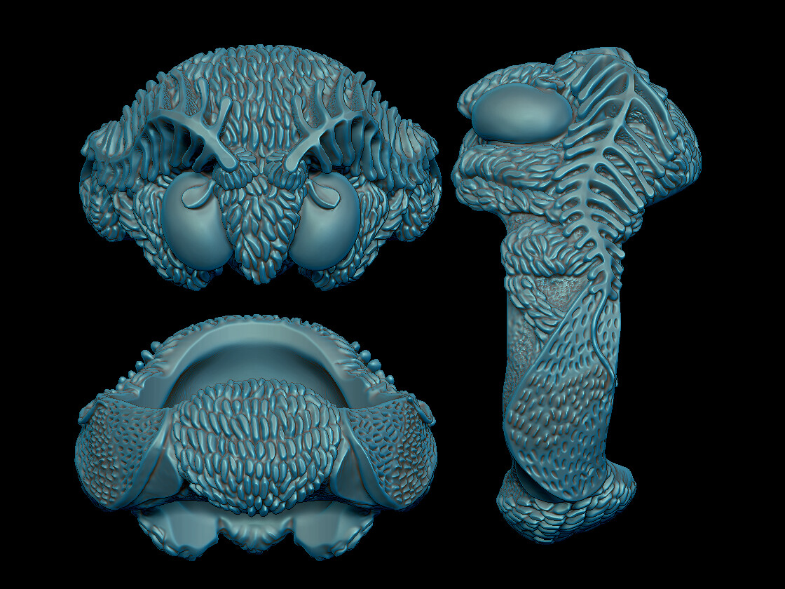 ZBrush render of the fuzzy moth ring design 
