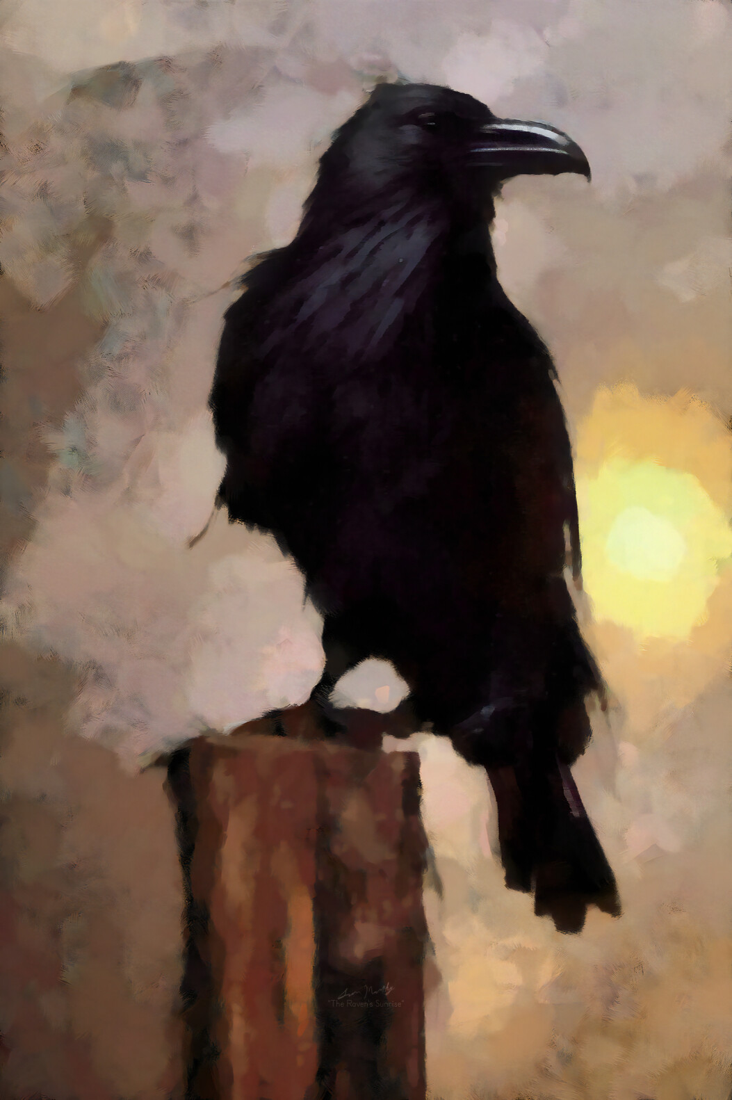 The Raven's Sunrise.