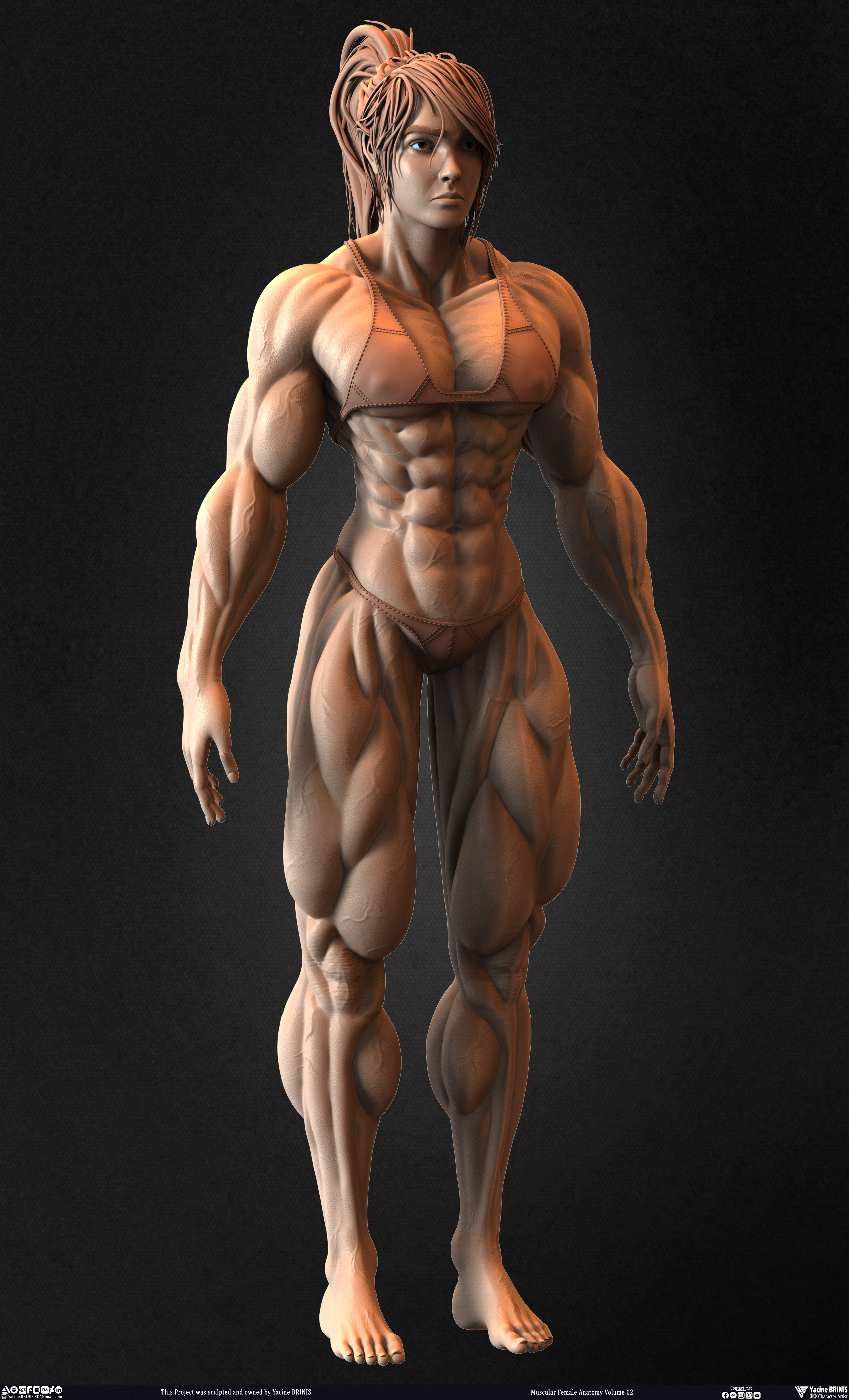 Muscular Female anatomy Volume 02 sculpted by Yacine BRINIS 006