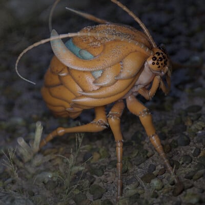 Reiko gross beetle 7