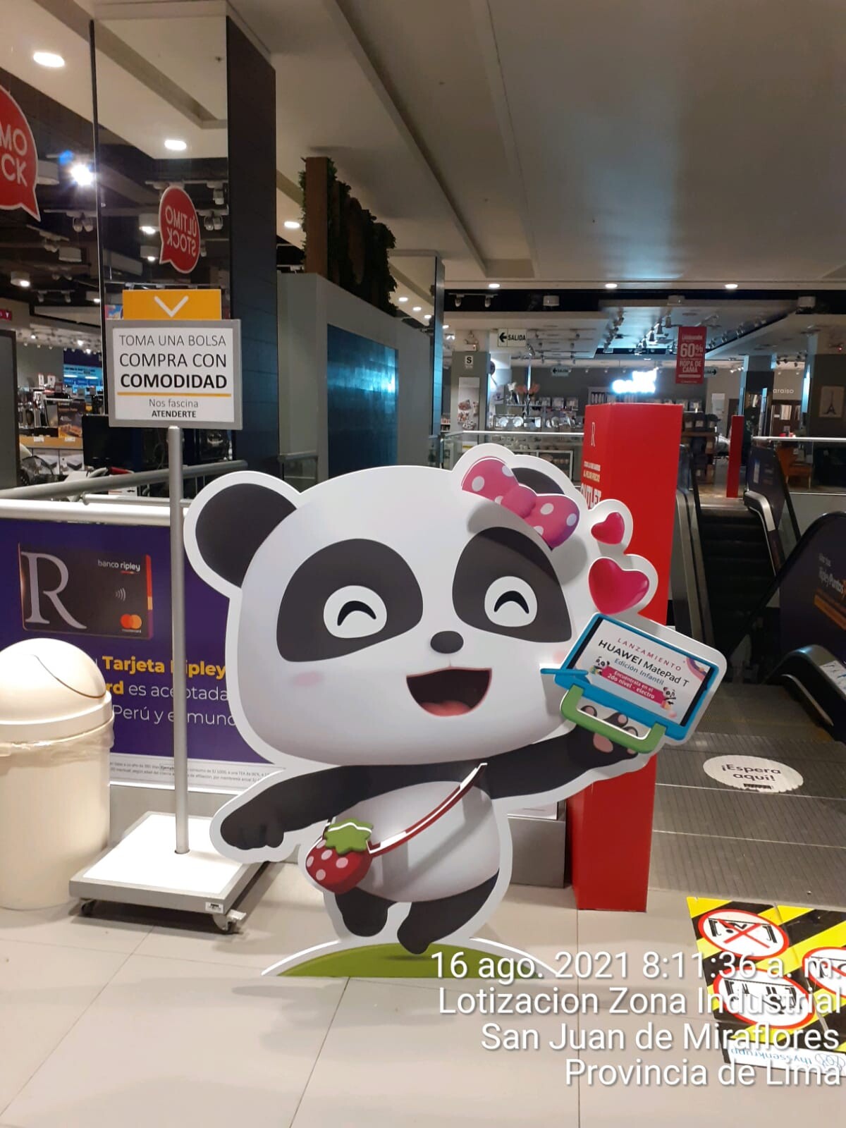 Paul bear 2025 ropa
