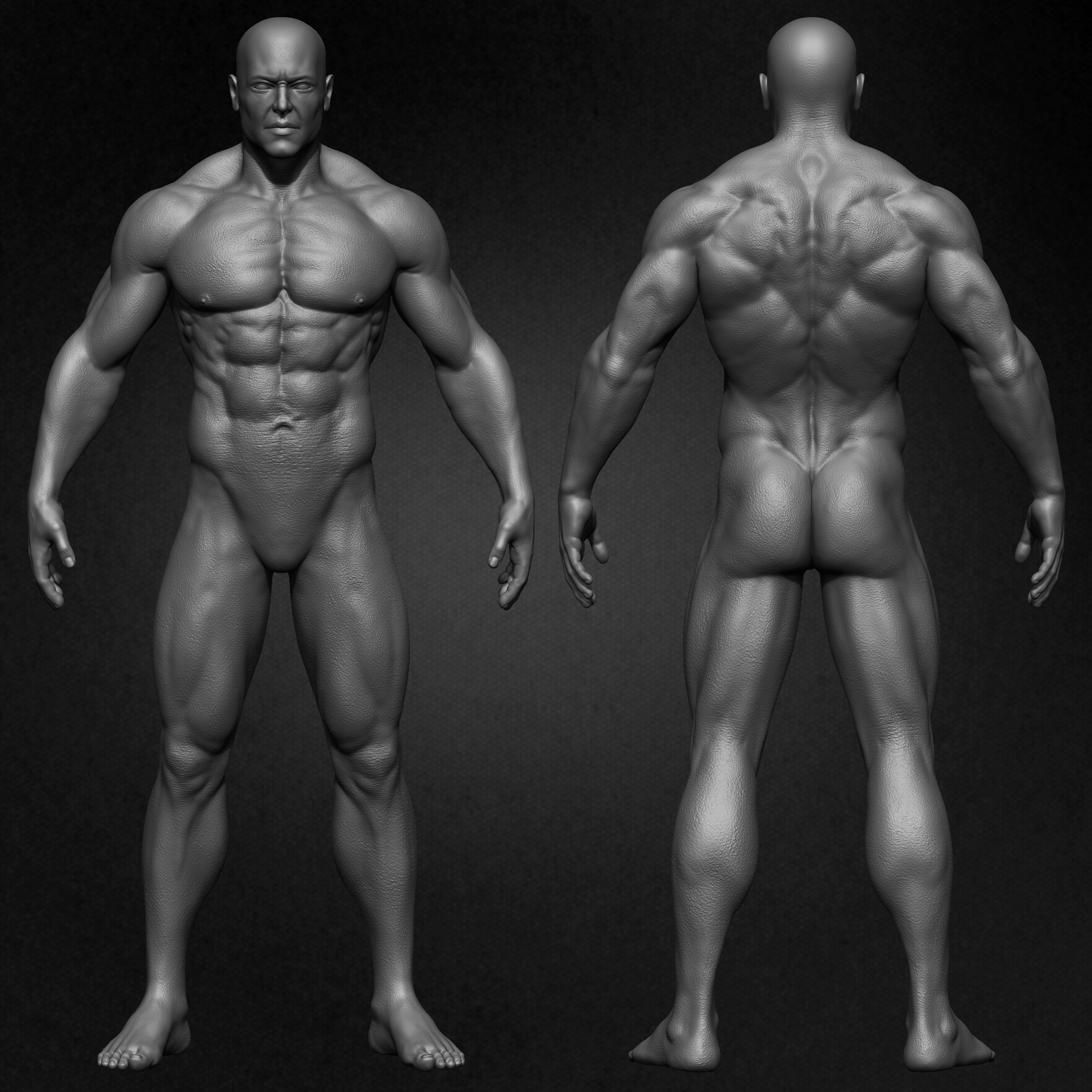 Muscular Male Anatomy 3D Character sculpted by Yacine BRINIS 001