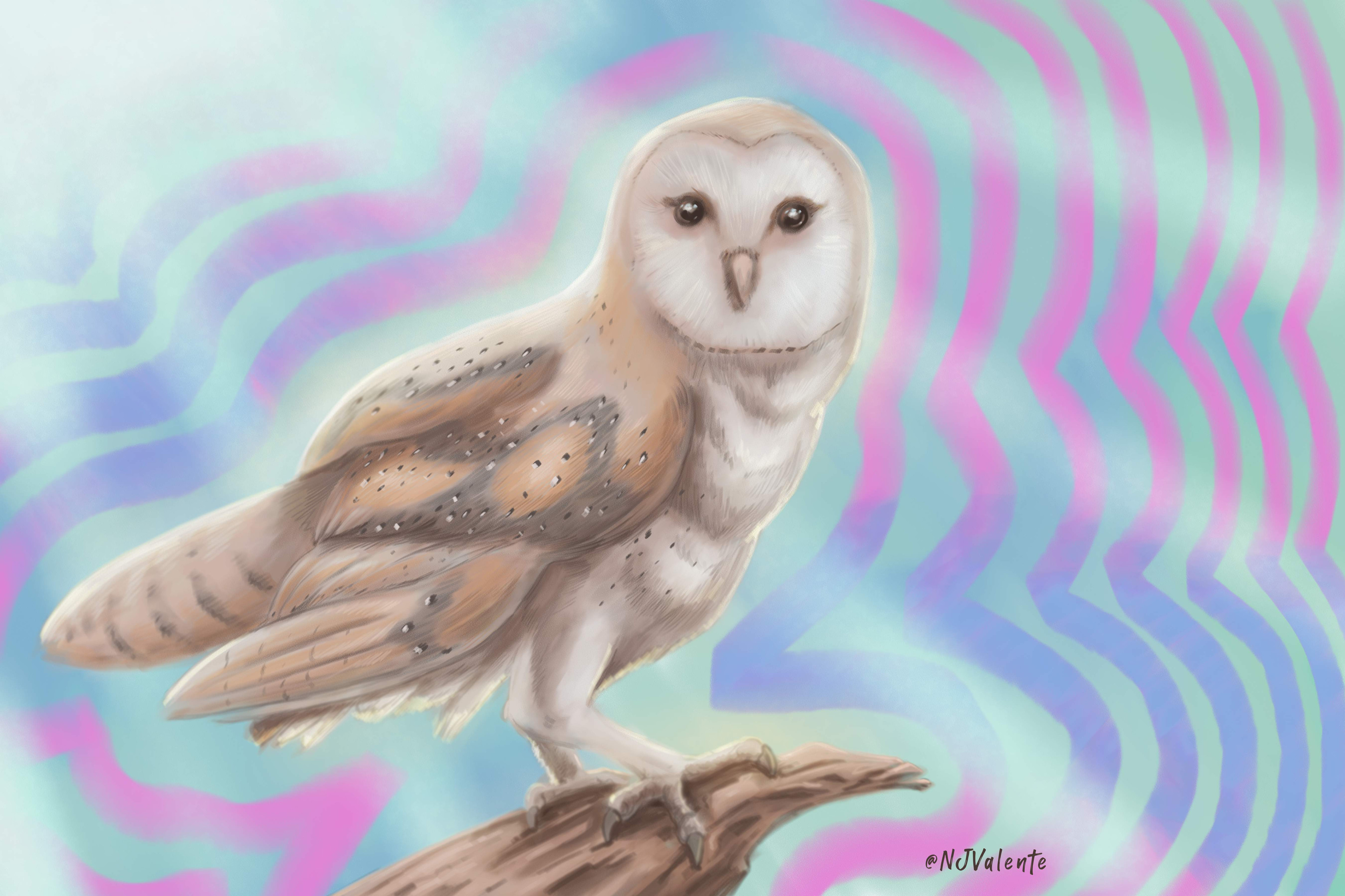 Barn owl digital painting done in Corel Painter, with alt BG.