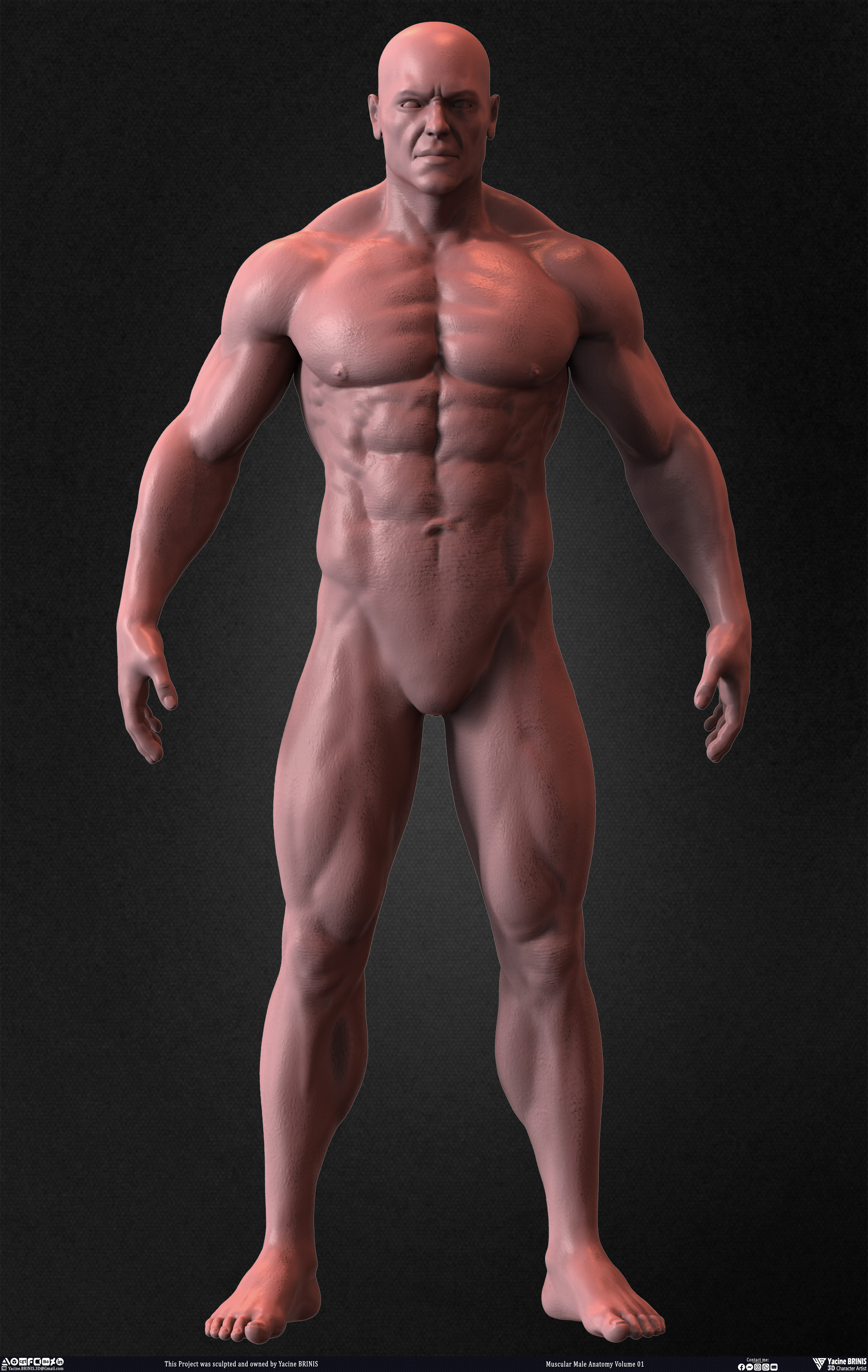 Muscular Male Anatomy 3D Character sculpted by Yacine BRINIS 006