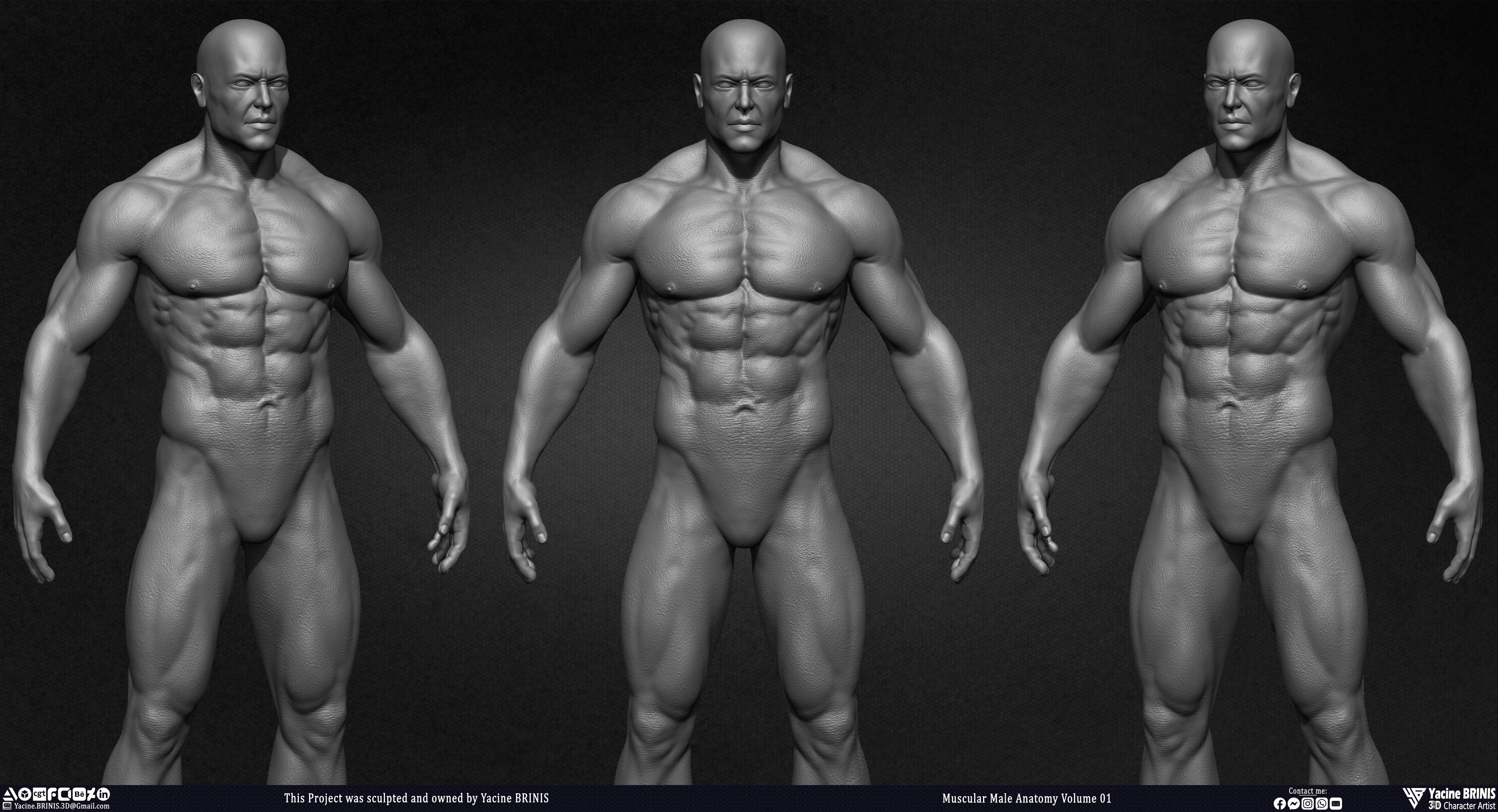 Muscular Male Anatomy 3D Character sculpted by Yacine BRINIS 008