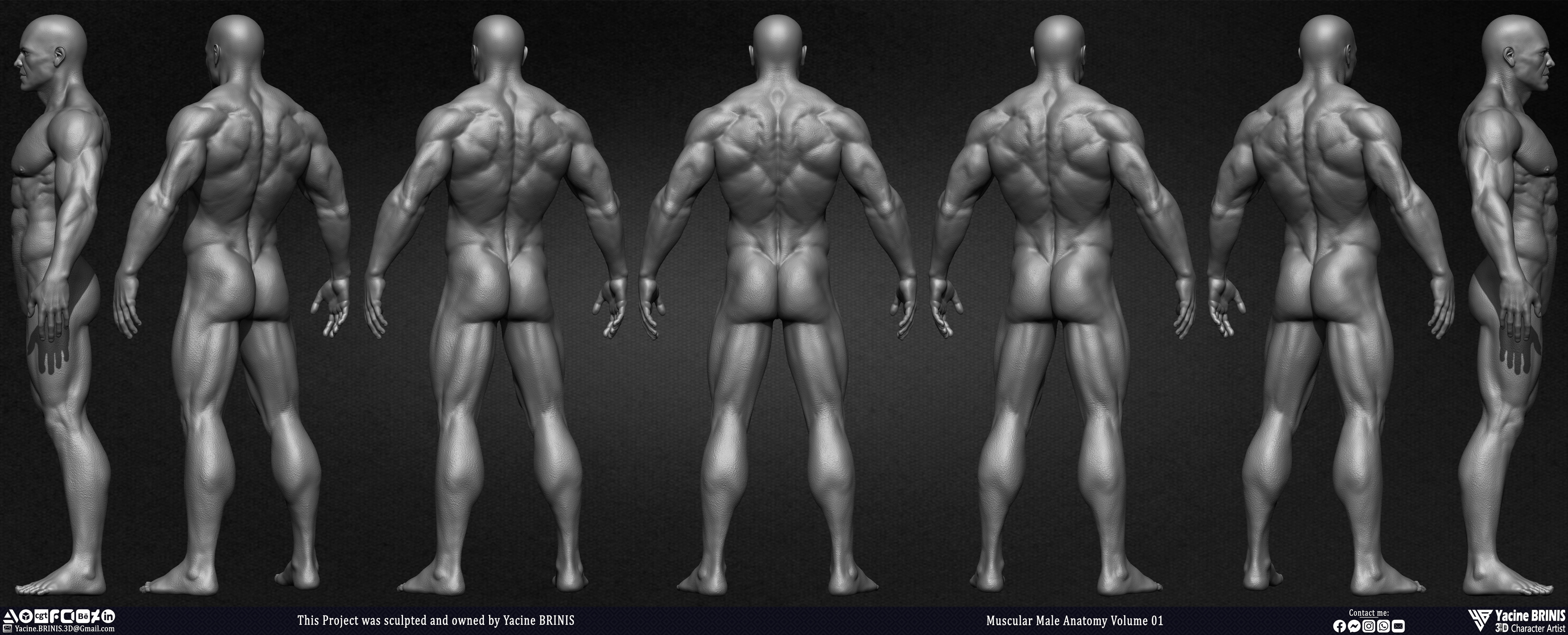 Muscular Male Anatomy 3D Character sculpted by Yacine BRINIS 009