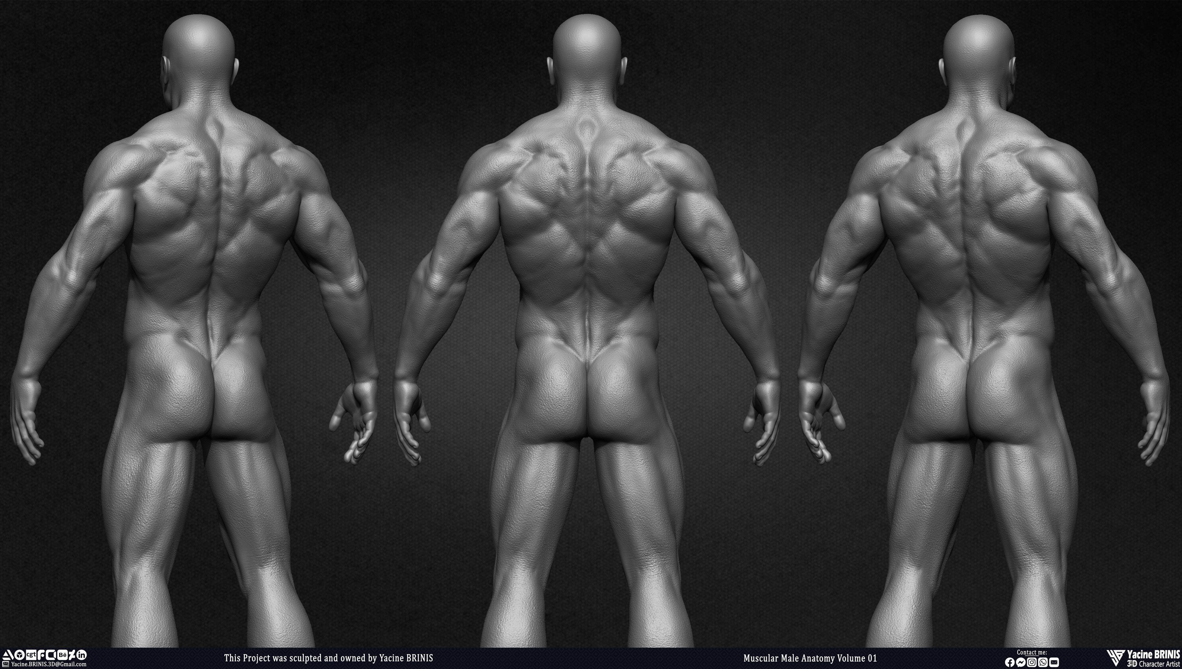 Muscular Male Anatomy 3D Character sculpted by Yacine BRINIS 010