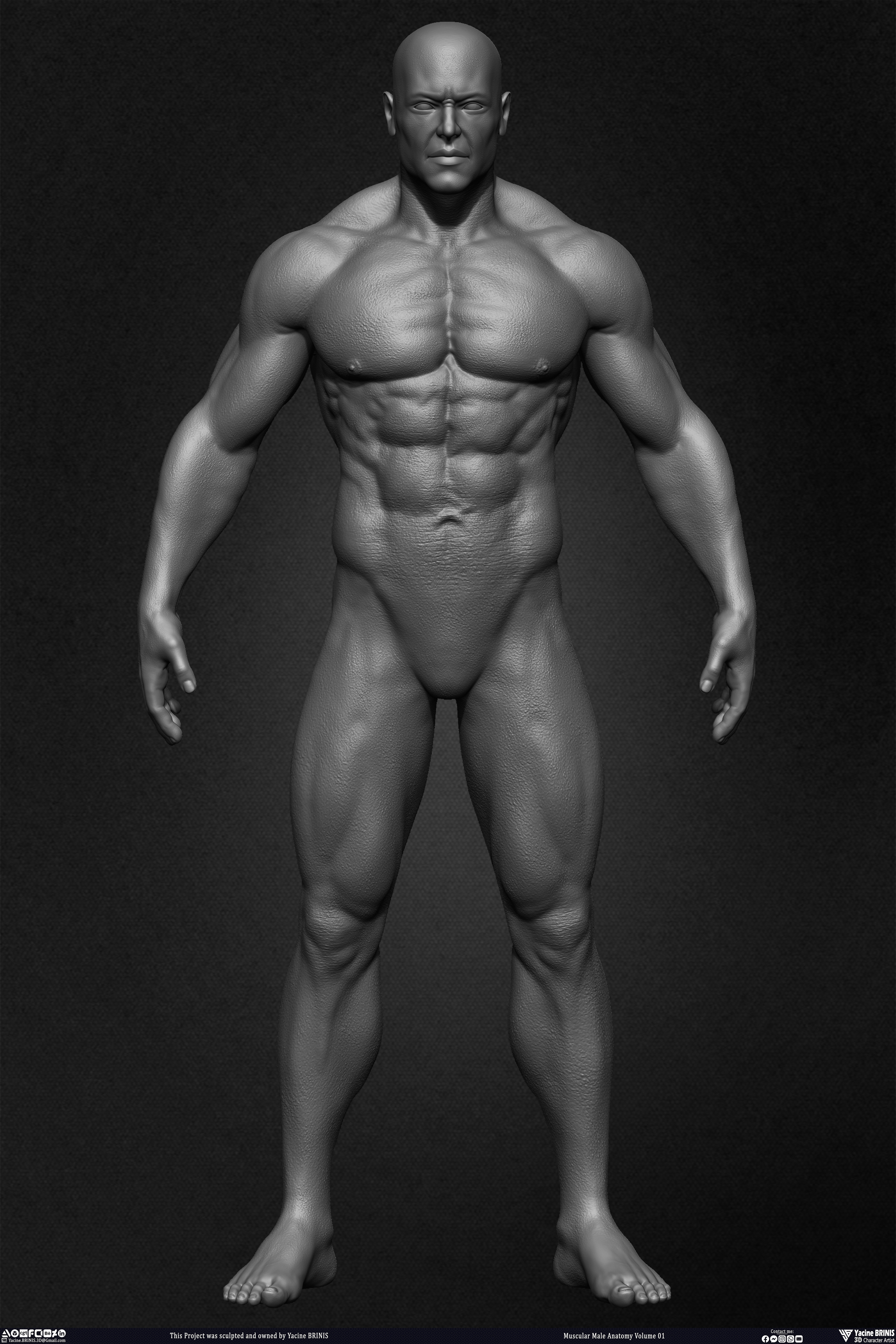 Muscular Male Anatomy 3D Character sculpted by Yacine BRINIS 011