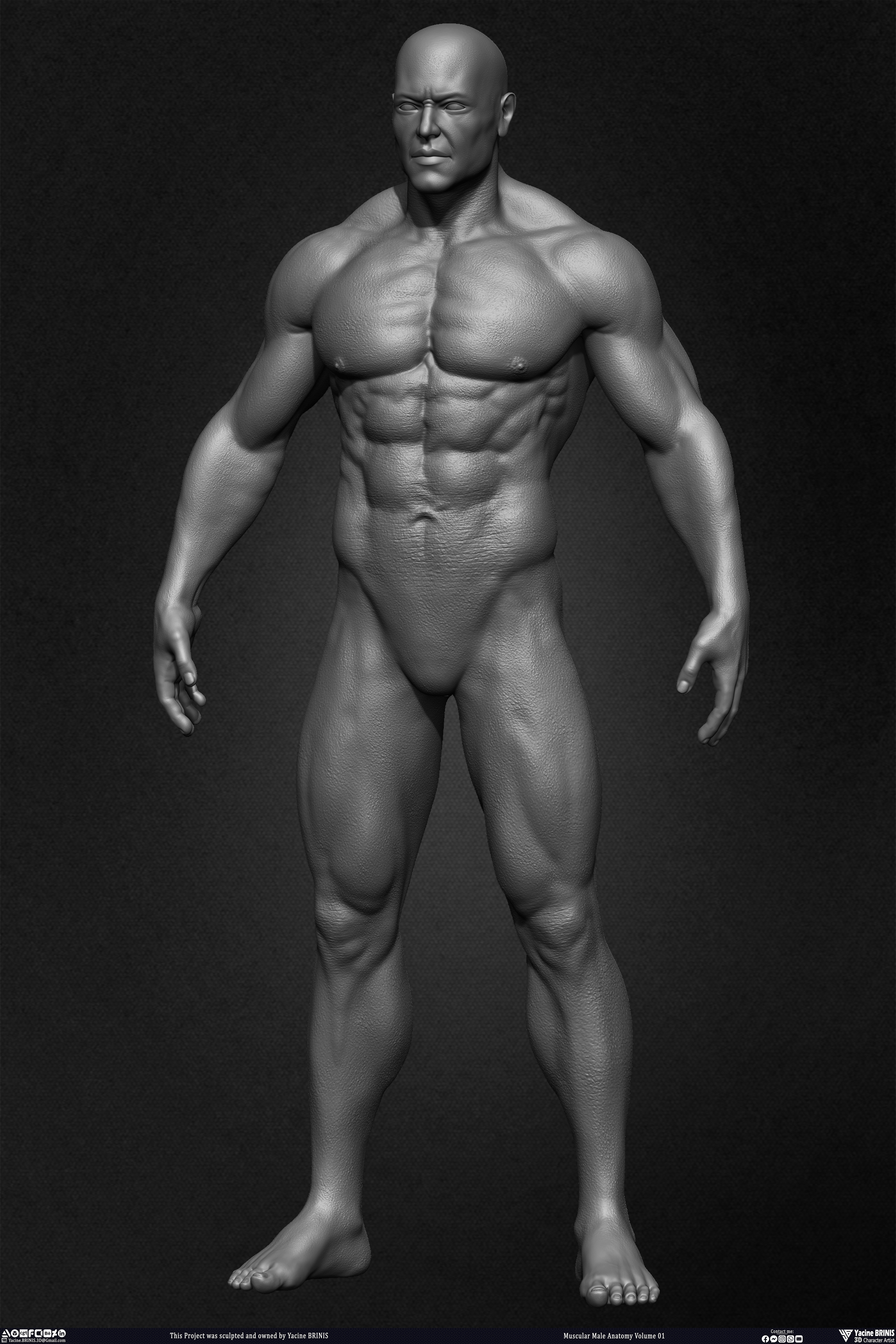 Muscular Male Anatomy 3D Character sculpted by Yacine BRINIS 012