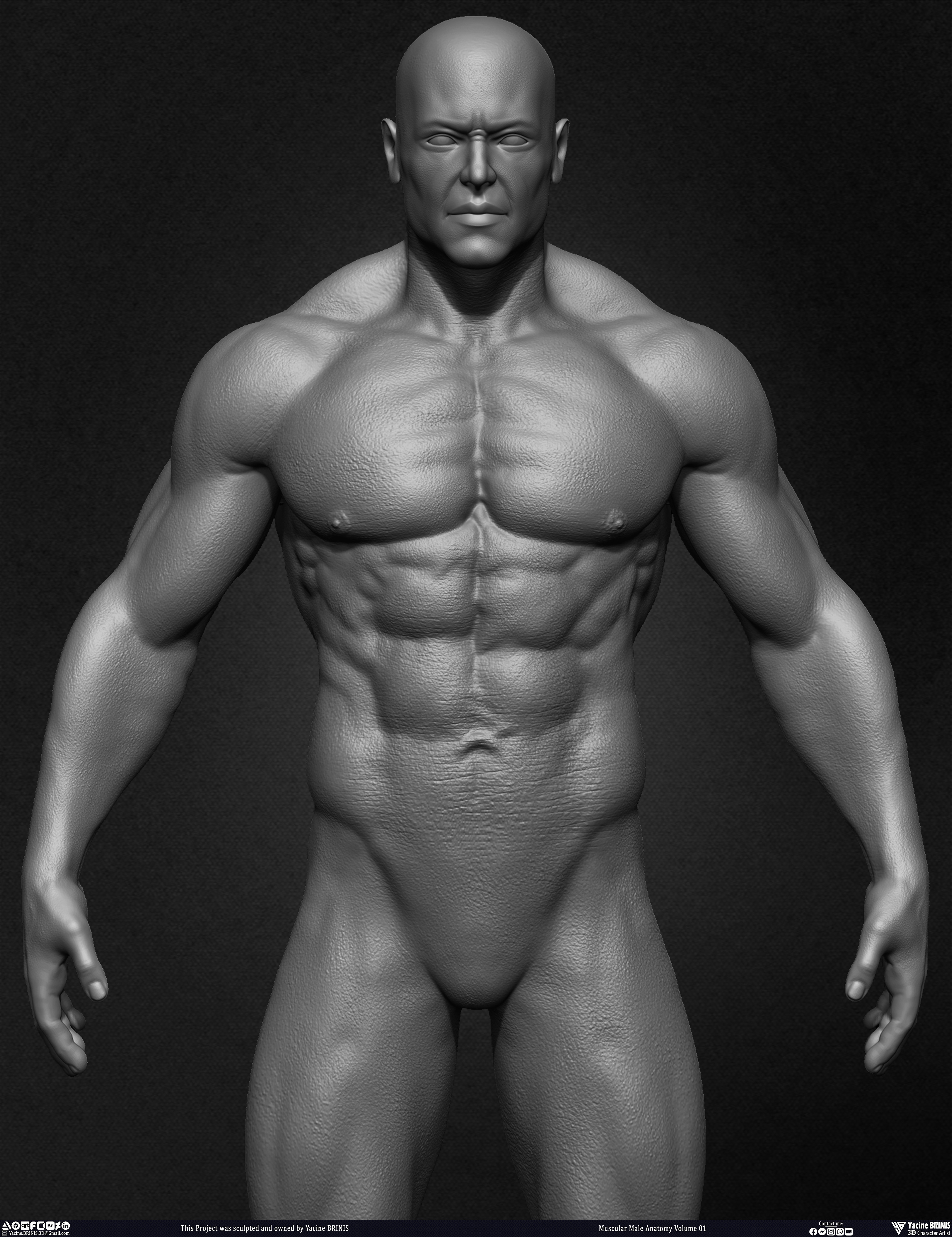 Muscular Male Anatomy 3D Character sculpted by Yacine BRINIS 018