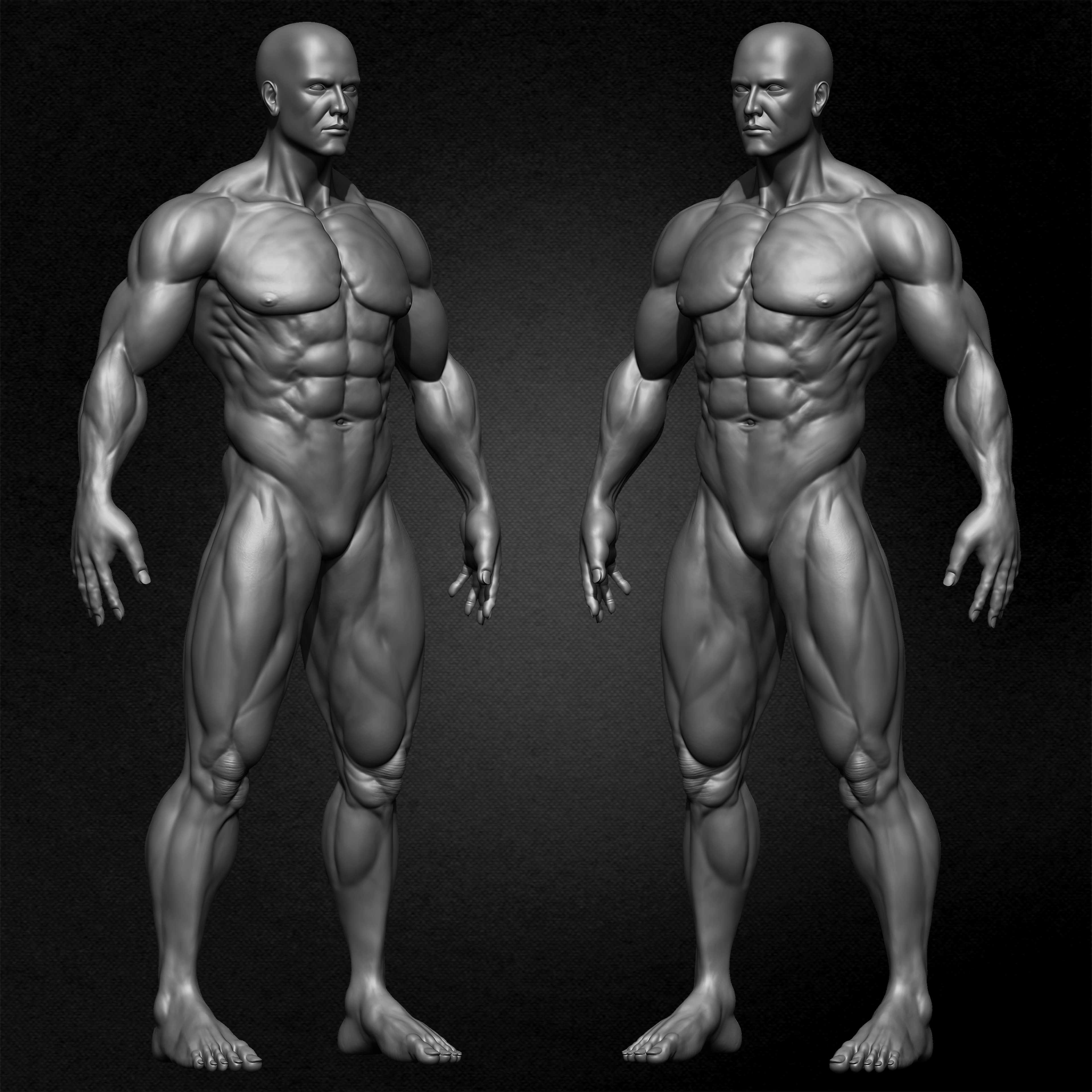 Muscular Male Anatomy Volume 2 3D Character sculpted by Yacine BRINIS 001