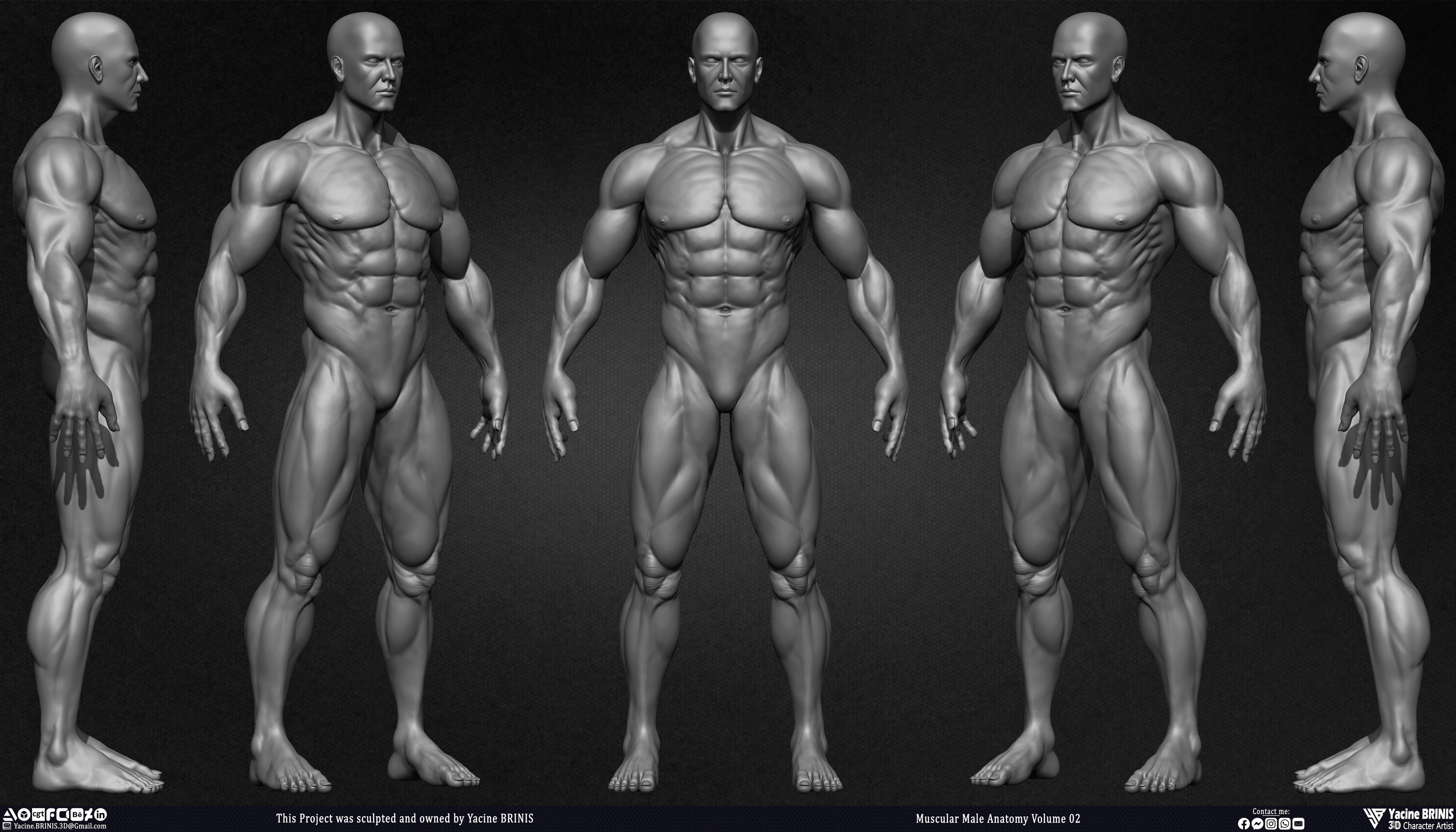 Muscular Male Anatomy Volume 2 3D Character sculpted by Yacine BRINIS 002