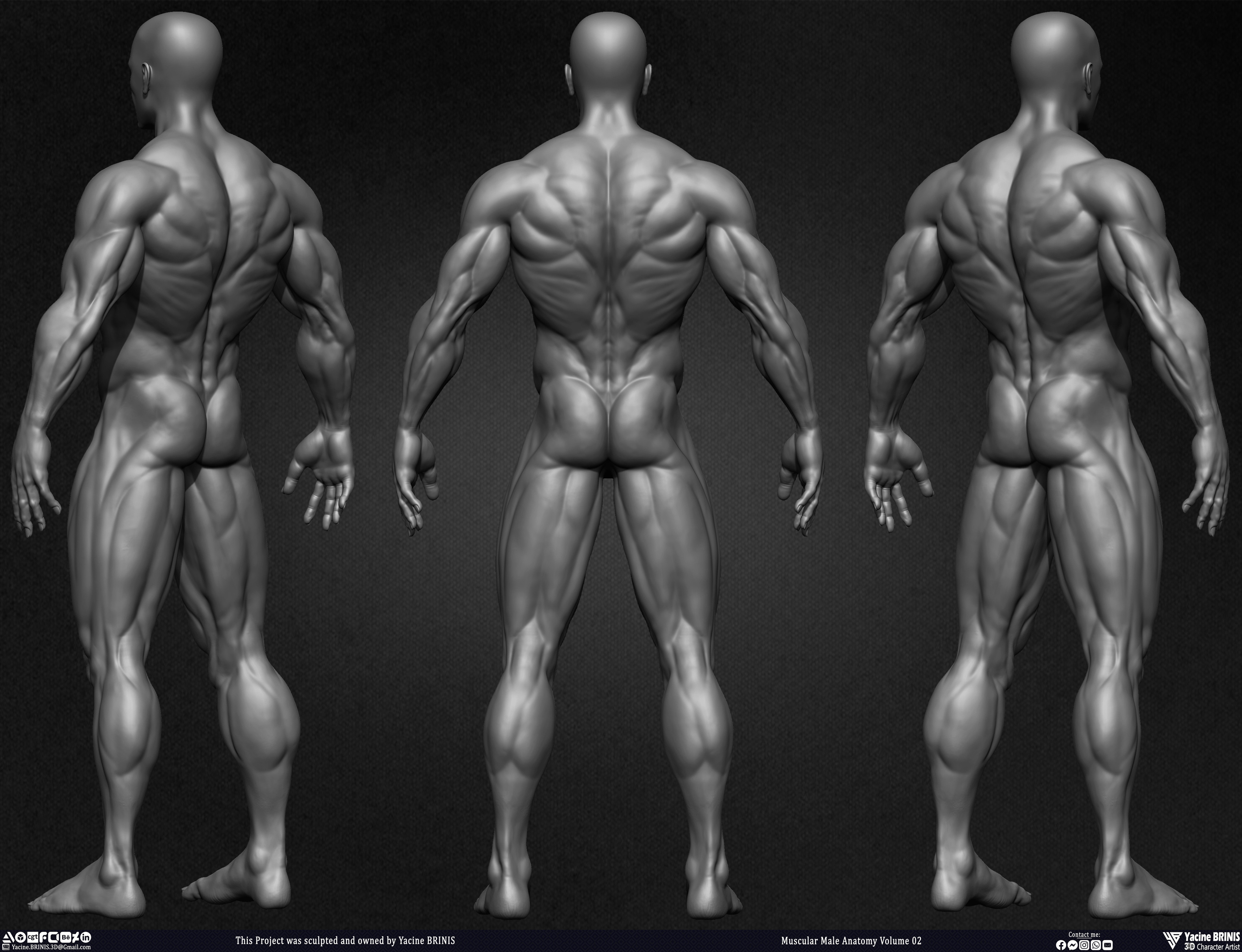 Muscular Male Anatomy Volume 2 3D Character sculpted by Yacine BRINIS 006