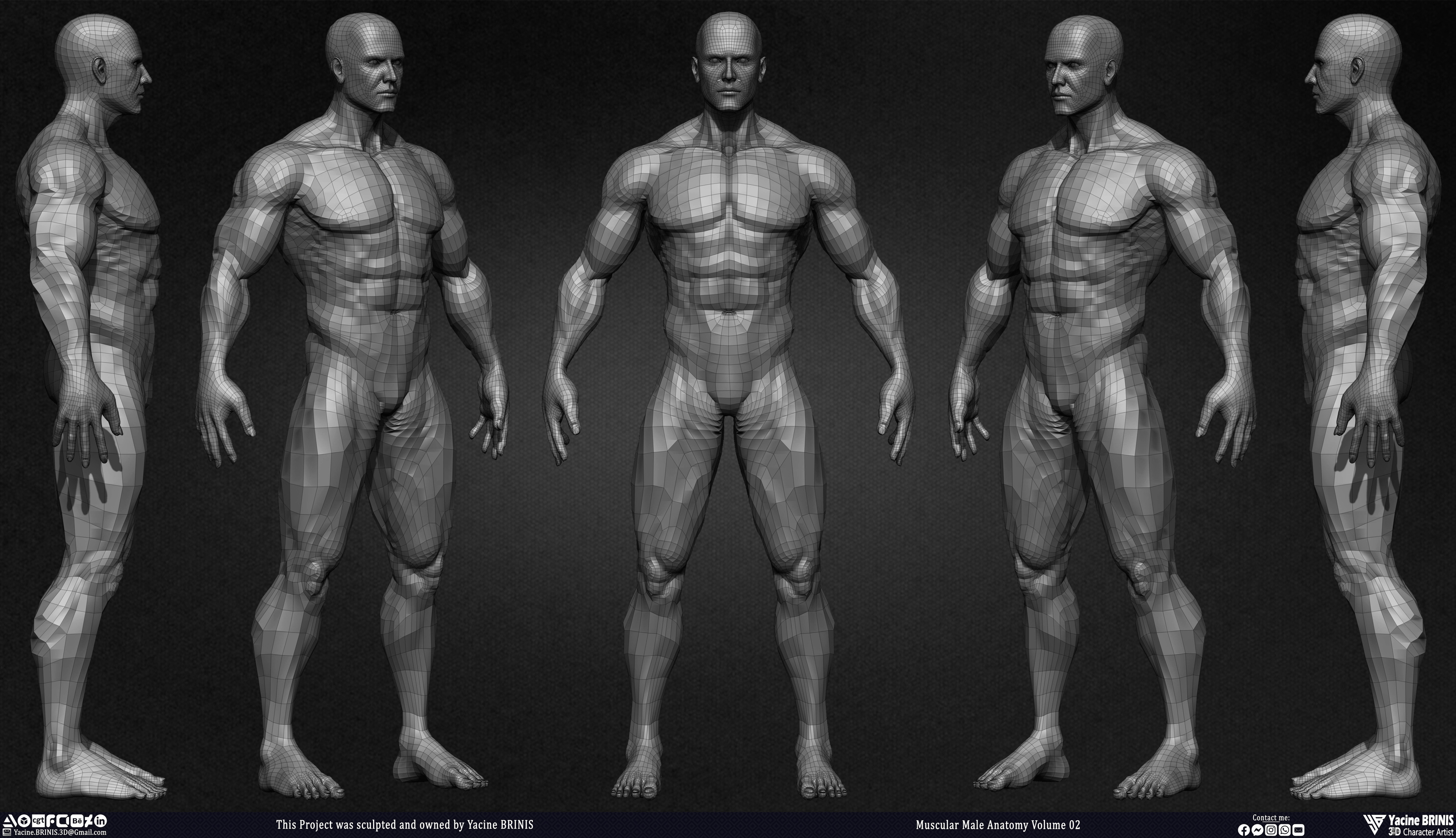Muscular Male Anatomy Volume 2 3D Character sculpted by Yacine BRINIS 008