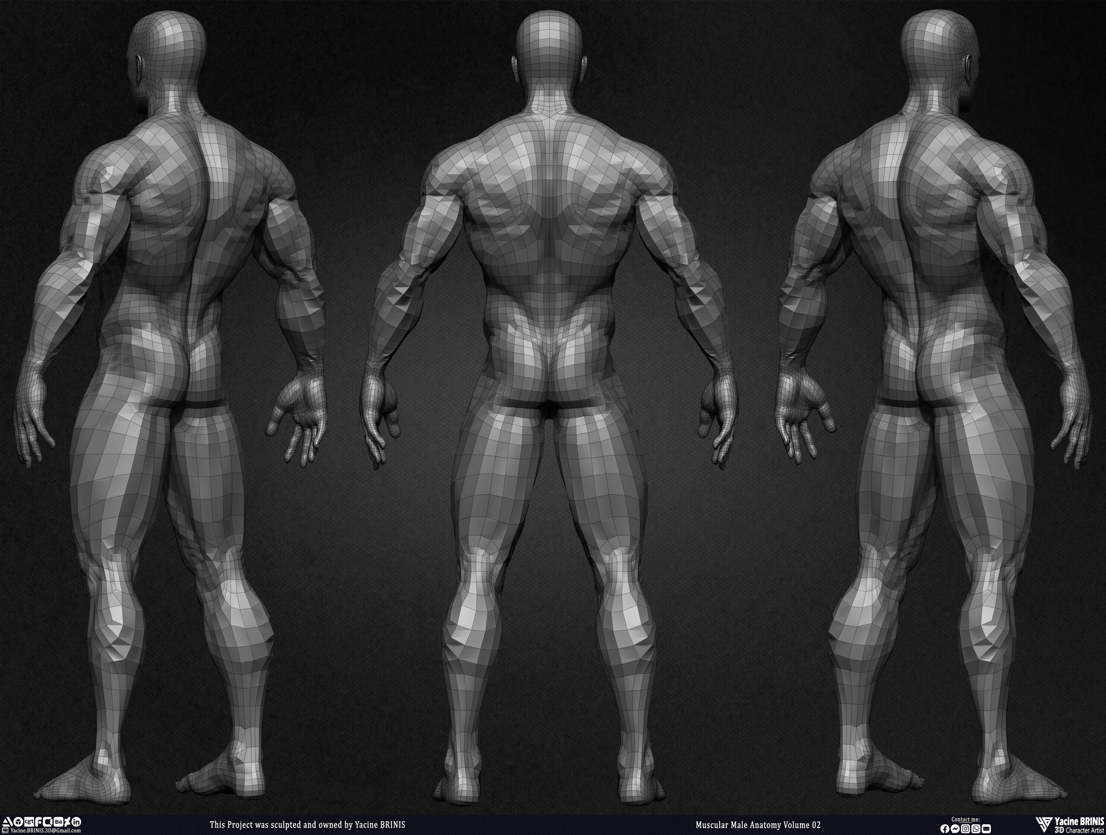 Muscular Male Anatomy Volume 2 3D Character sculpted by Yacine BRINIS 010
