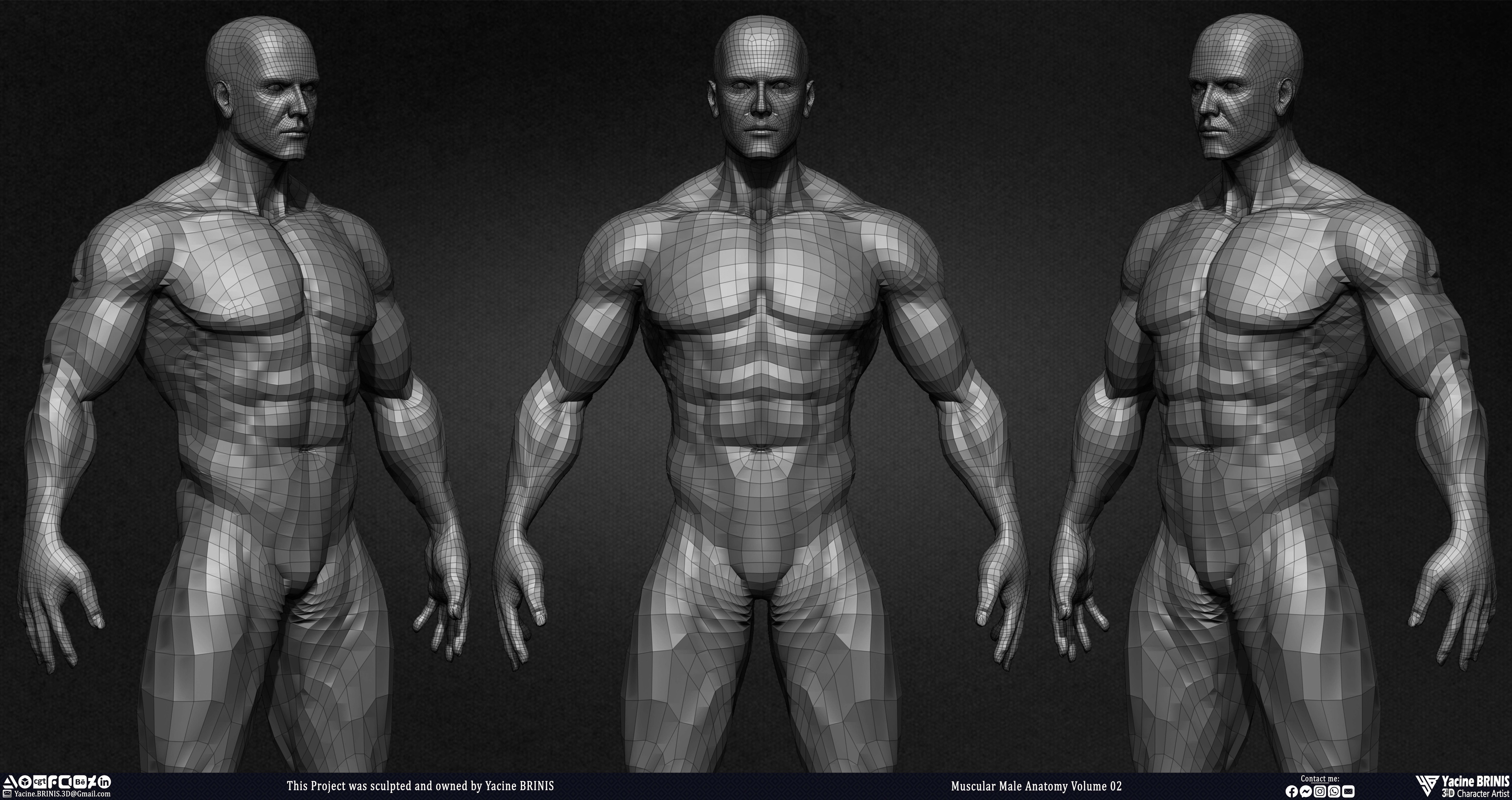 Muscular Male Anatomy Volume 2 3D Character sculpted by Yacine BRINIS 012
